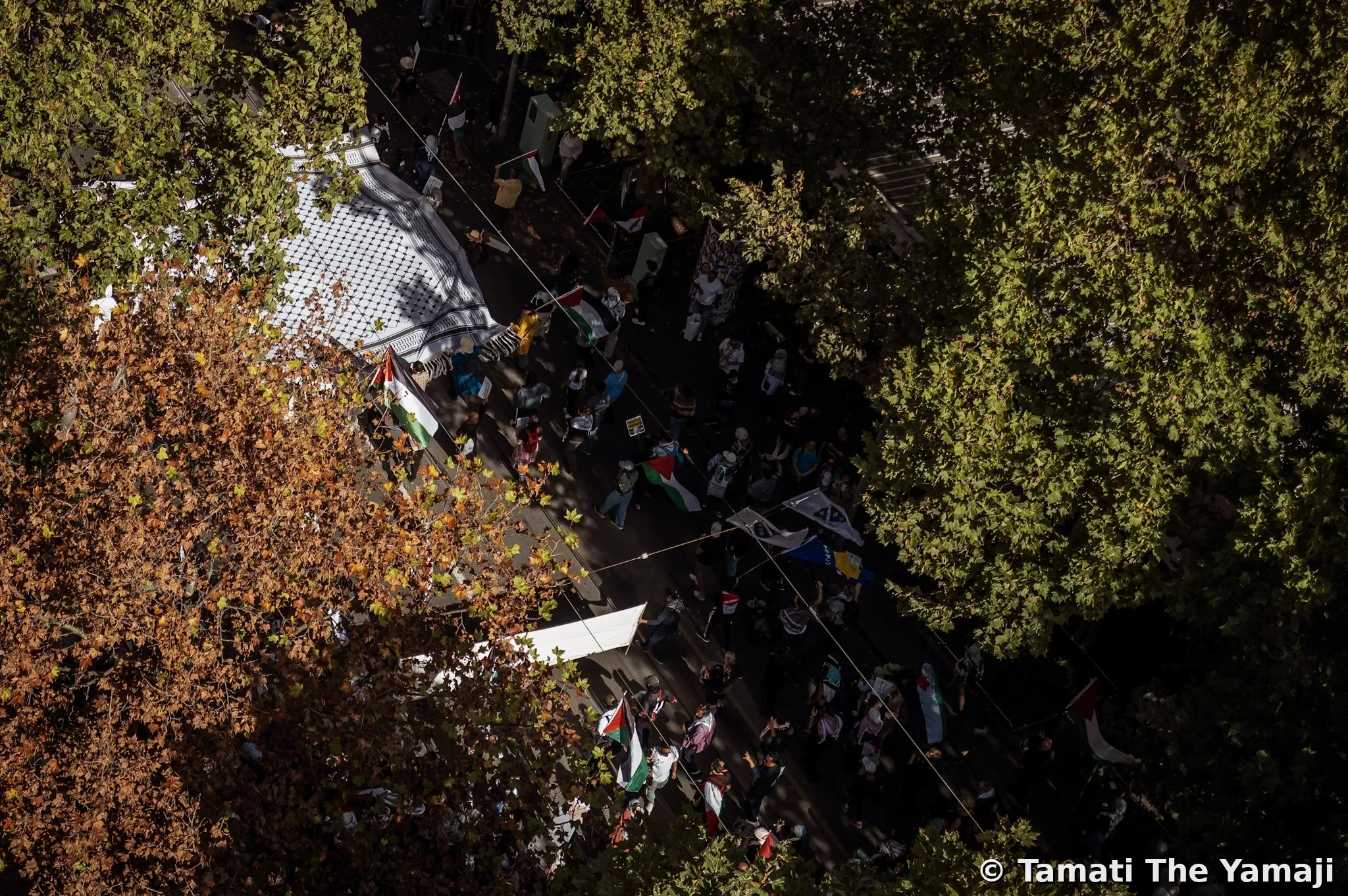 A weekend in Naarm (Melbourne) - Image 4