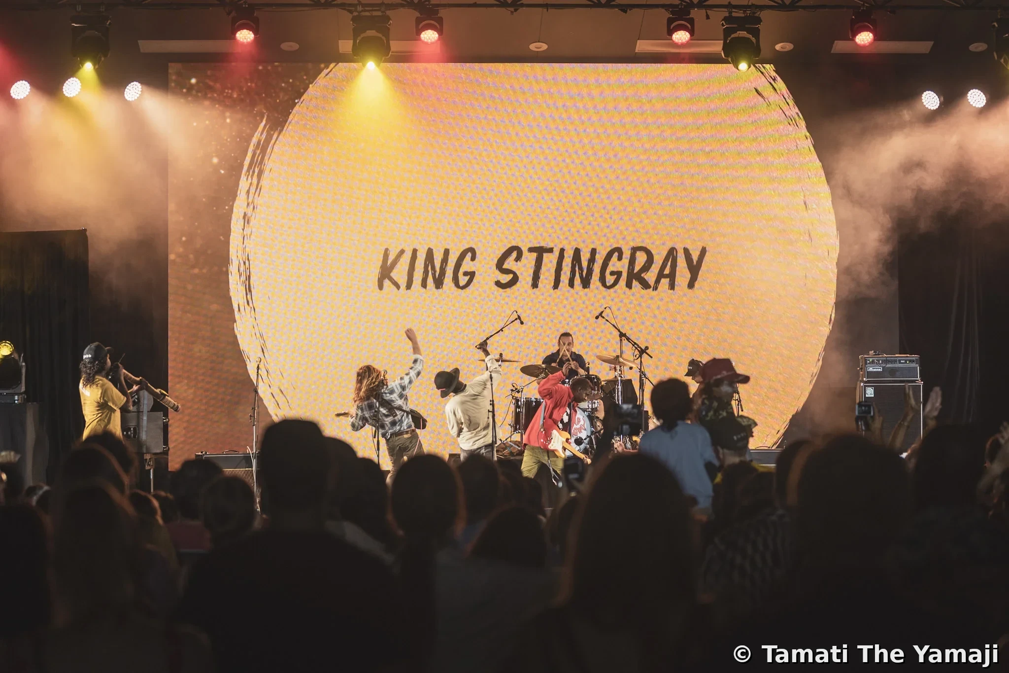 King Stingray at the NIMAs, Larrakia Country - Image 1