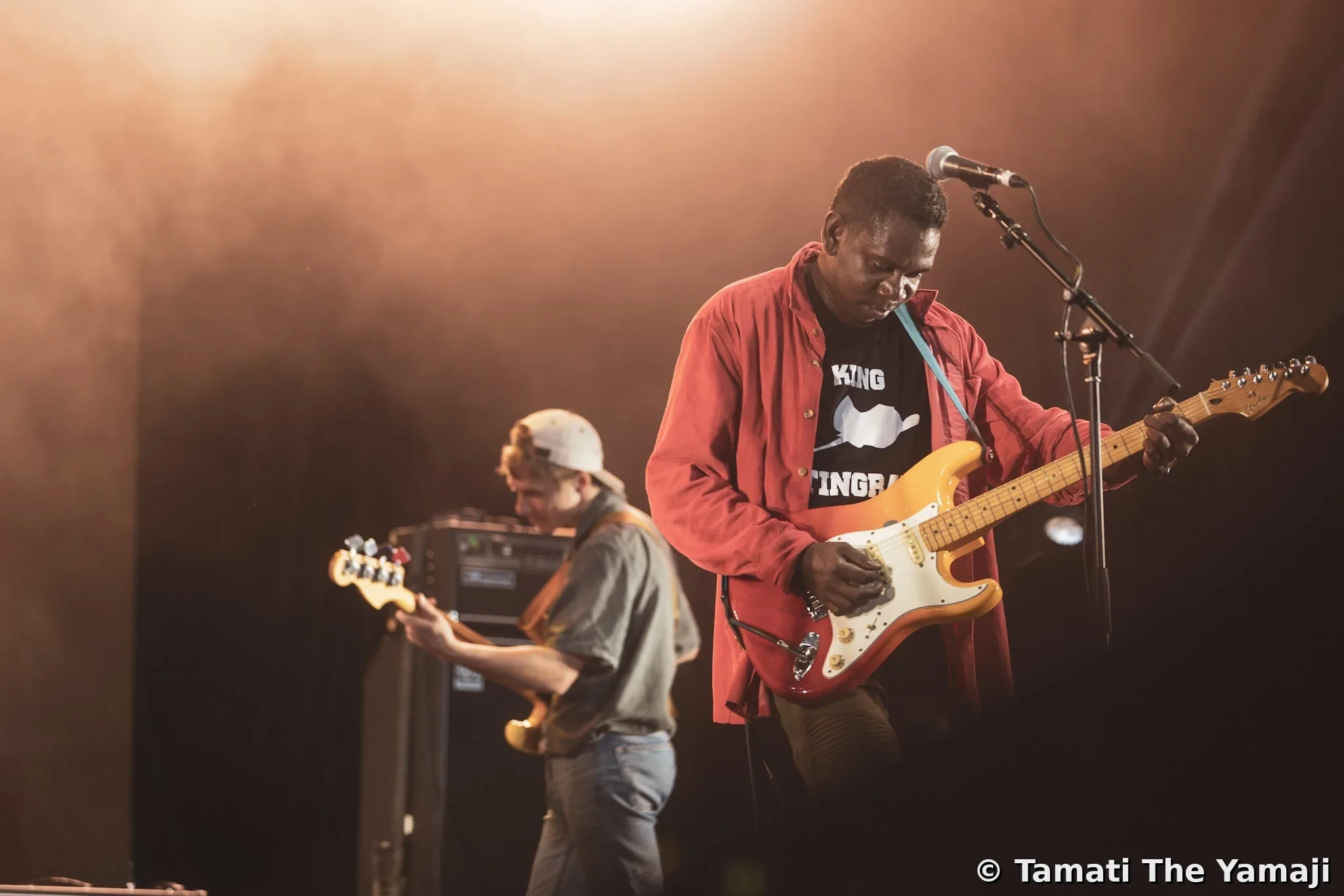 King Stingray at the NIMAs, Larrakia Country - Image 2