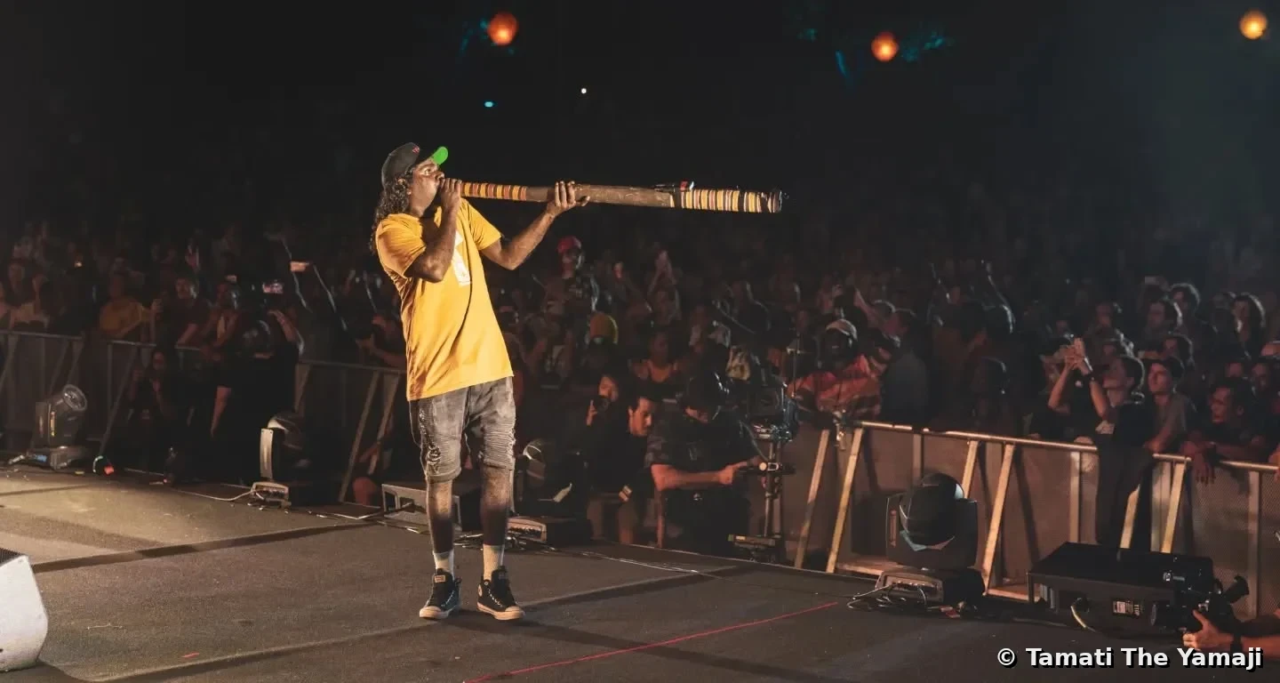 King Stingray at the NIMAs, Larrakia Country - Image 3