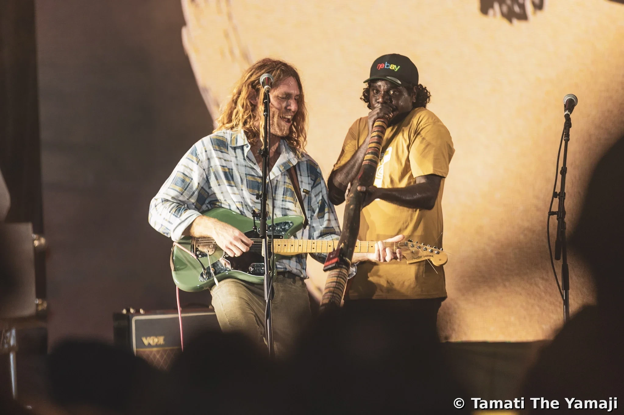 King Stingray at the NIMAs, Larrakia Country - Image 5