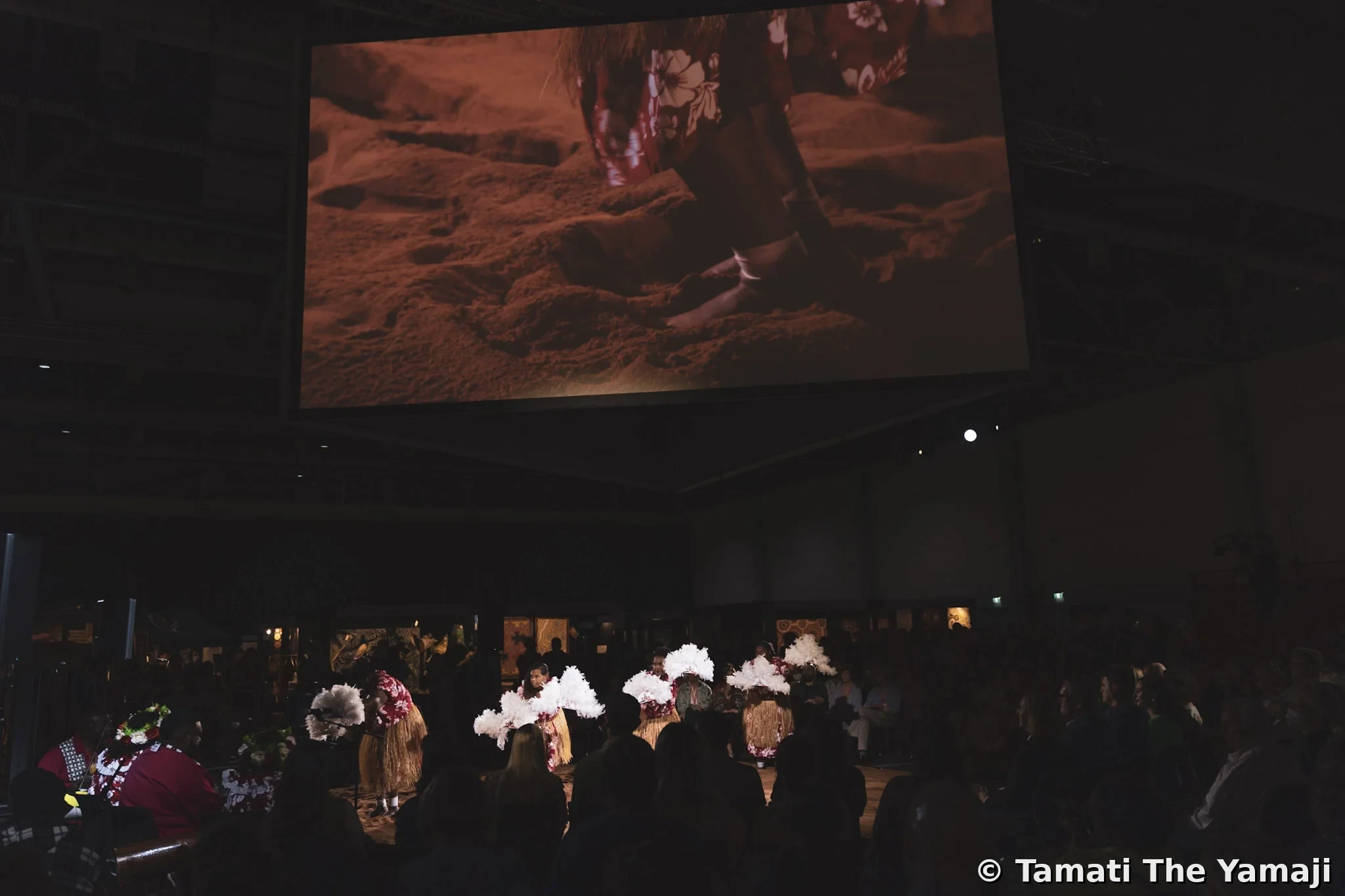 Badu Island Dancers at DAAF - Image 4