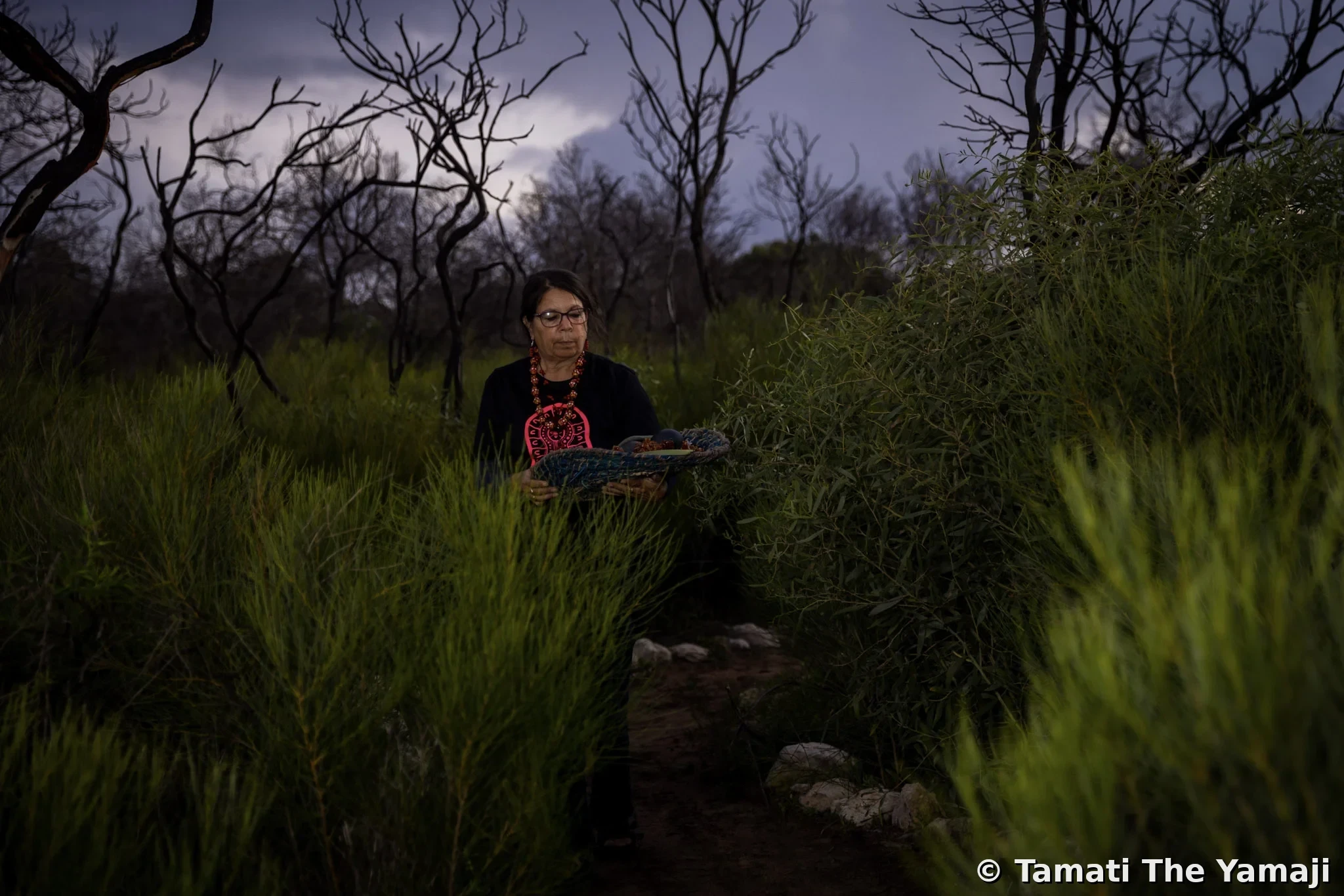Yamaji Bush Foods - Breaking Bread - Image 4