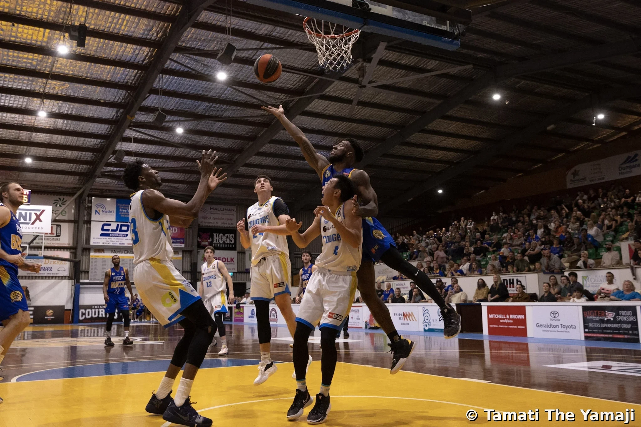 Geraldton Buccaneers NBL1 West - Image 9