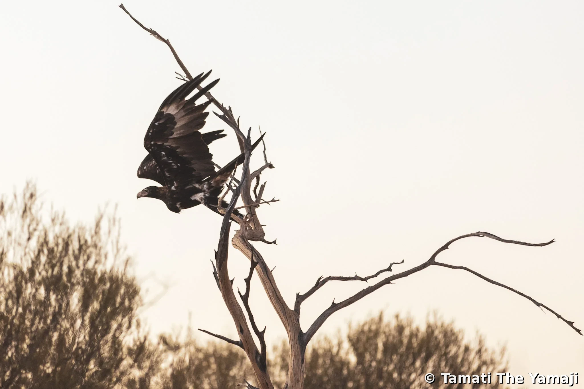 "Take me home, Murchison river" - Image 9