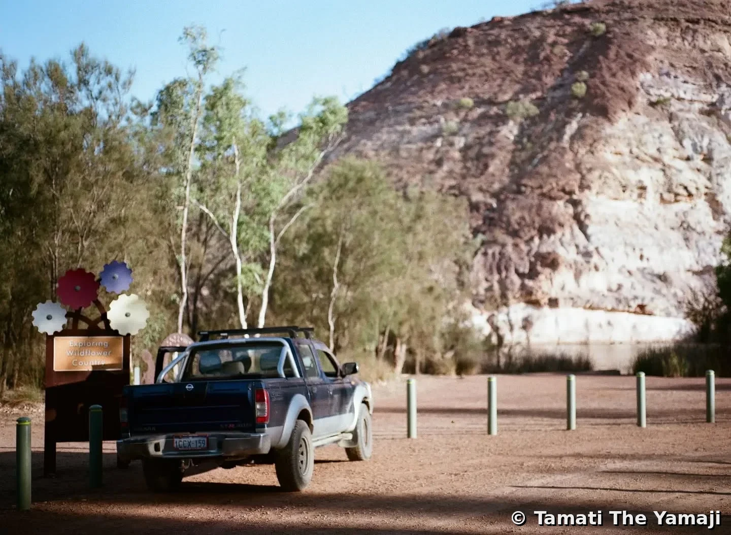Yamaji Barna on Film - Image 2