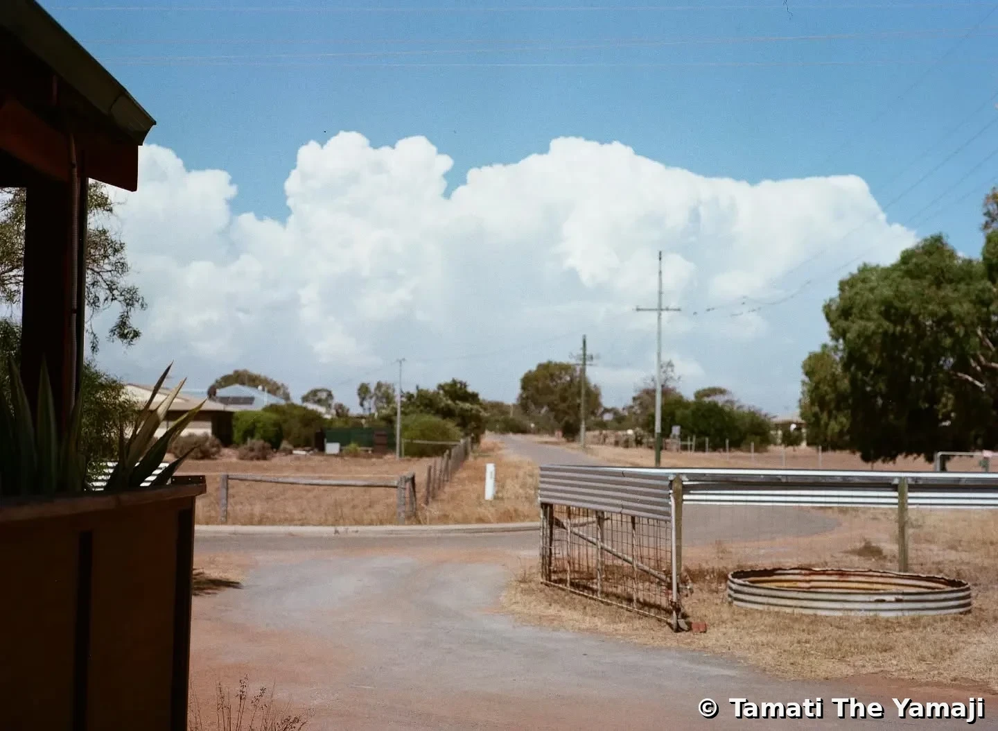 Yamaji Barna on Film - Image 3