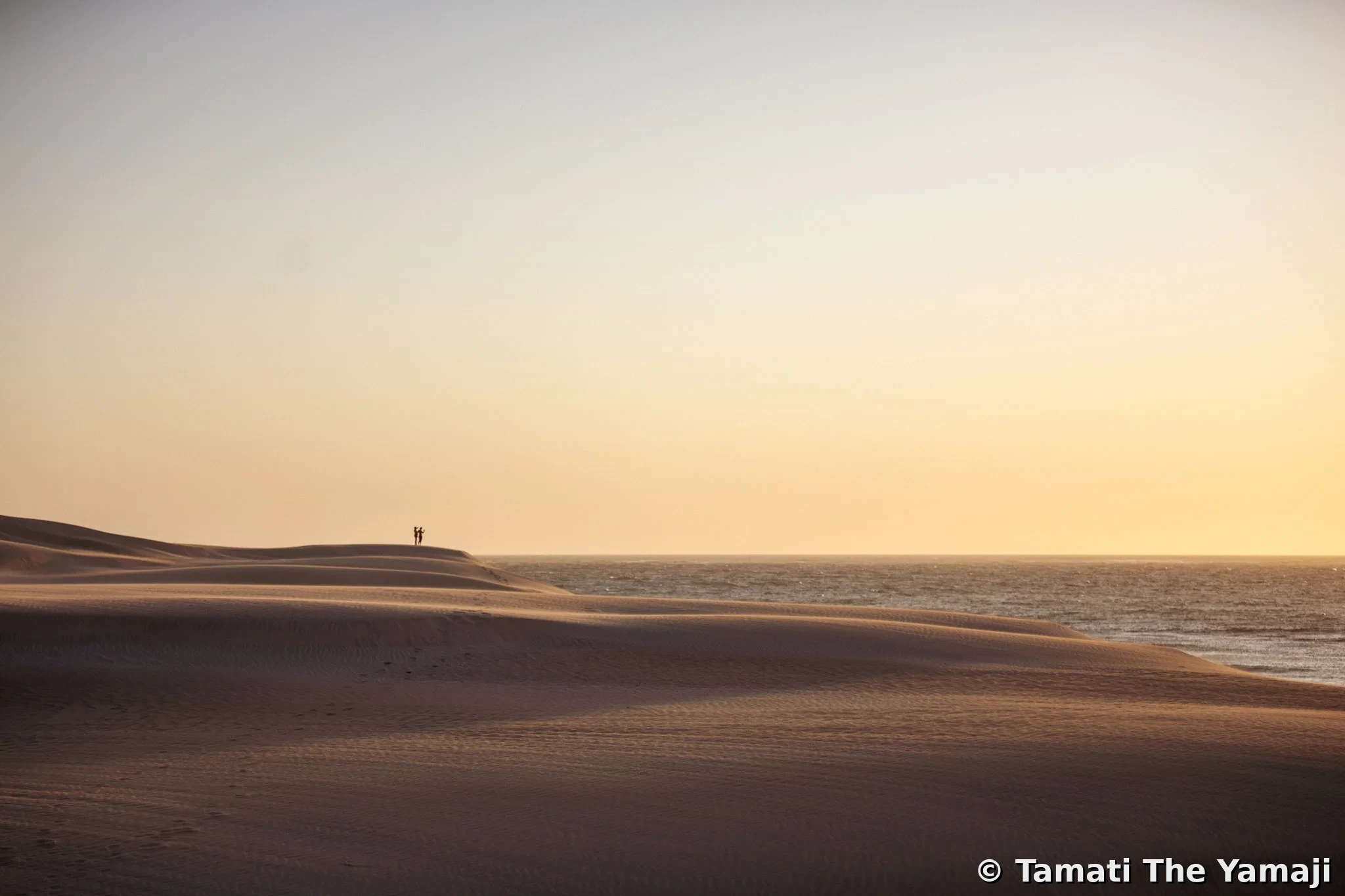 Yamaji Barna on Film - Image 4