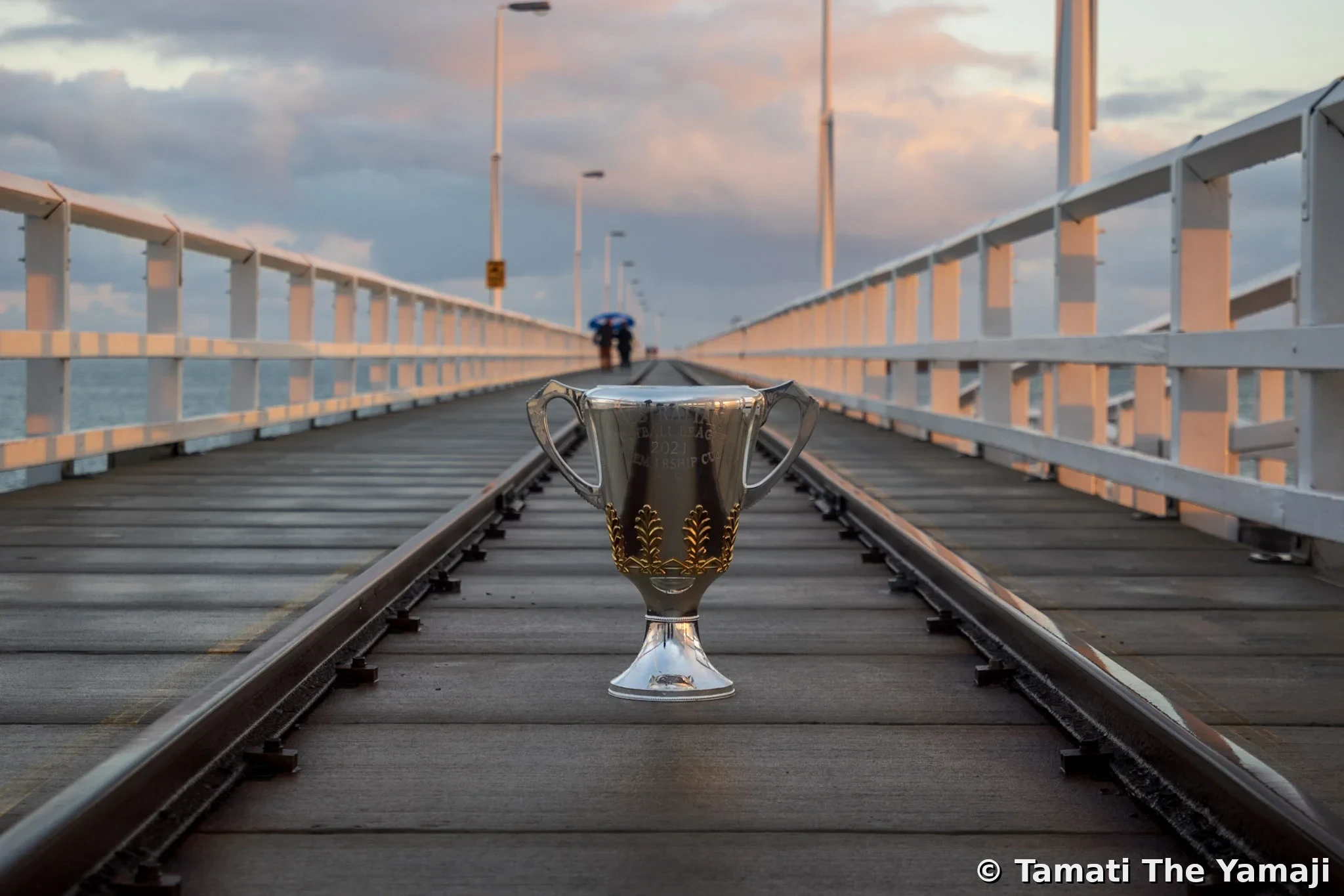 Yamaji Barna on Film - Image 5