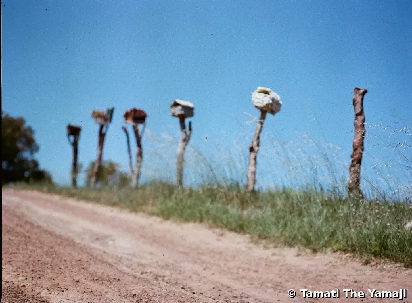 Mamiya Film Dump II - Image 3