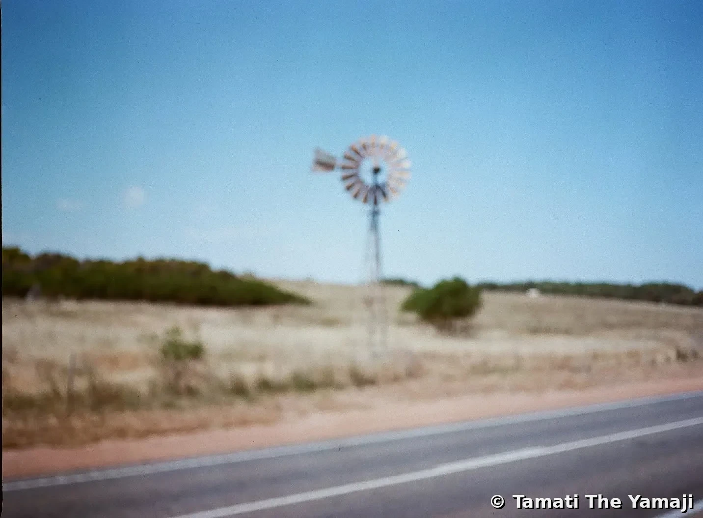 Mamiya Film Dump II - Image 4