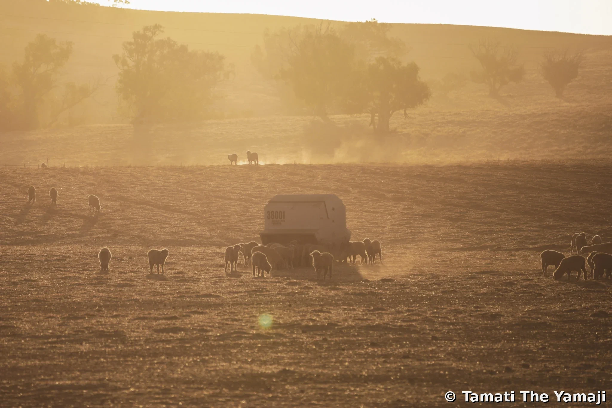 Mullewa Backroads Discovery - Image 3