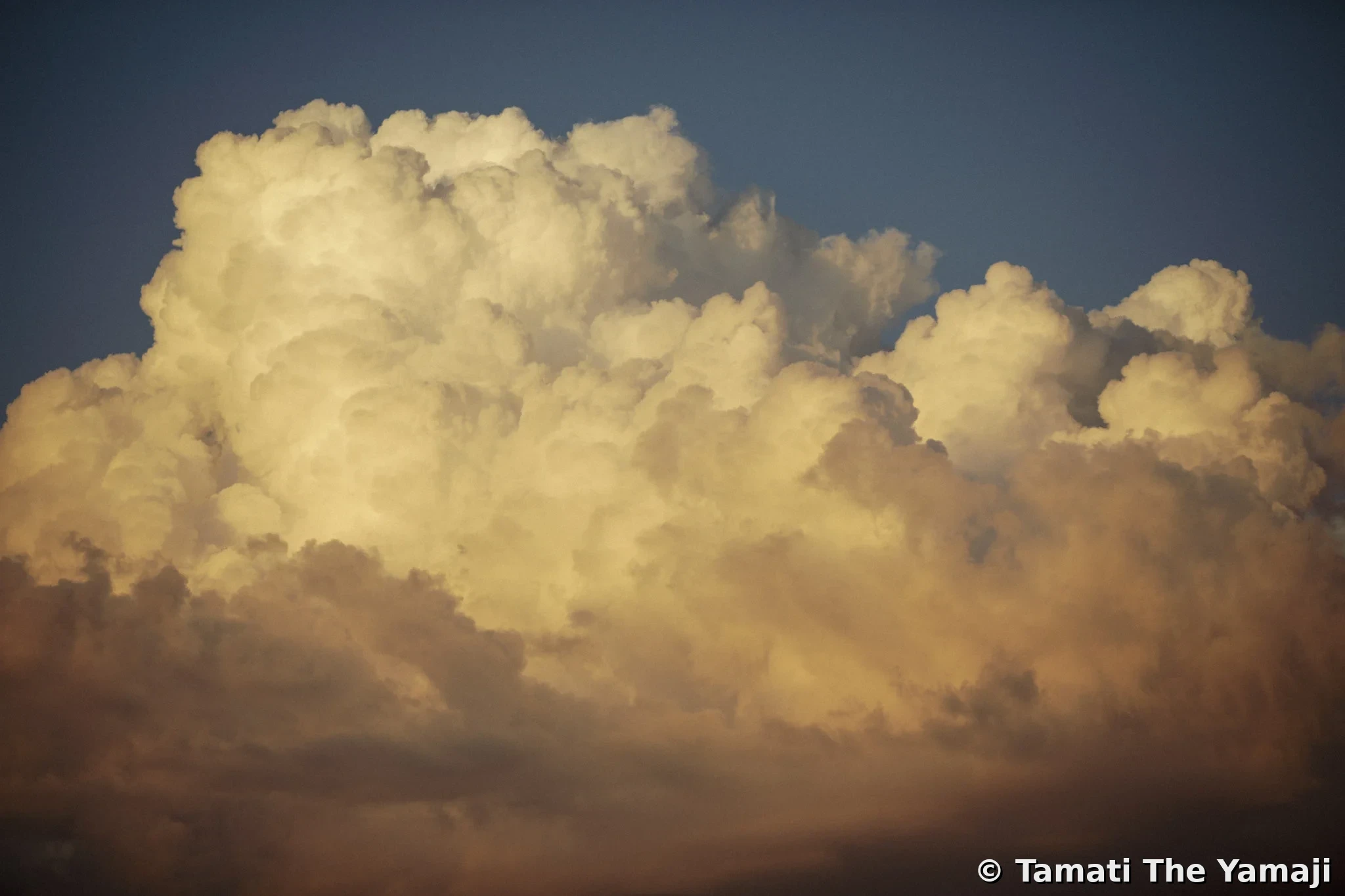 Mullewa Backroads Discovery - Image 4