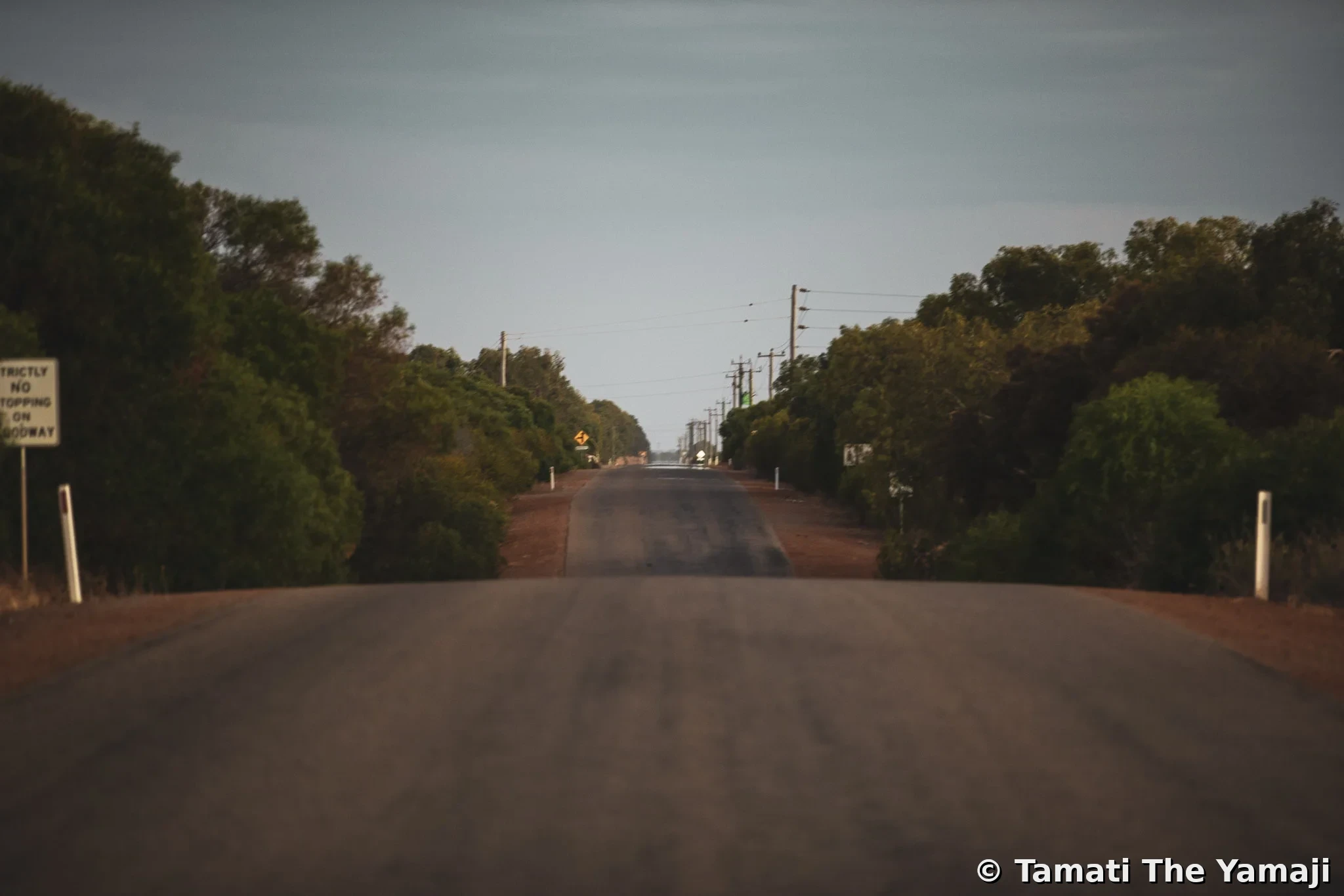 Mullewa Backroads Discovery - Image 5
