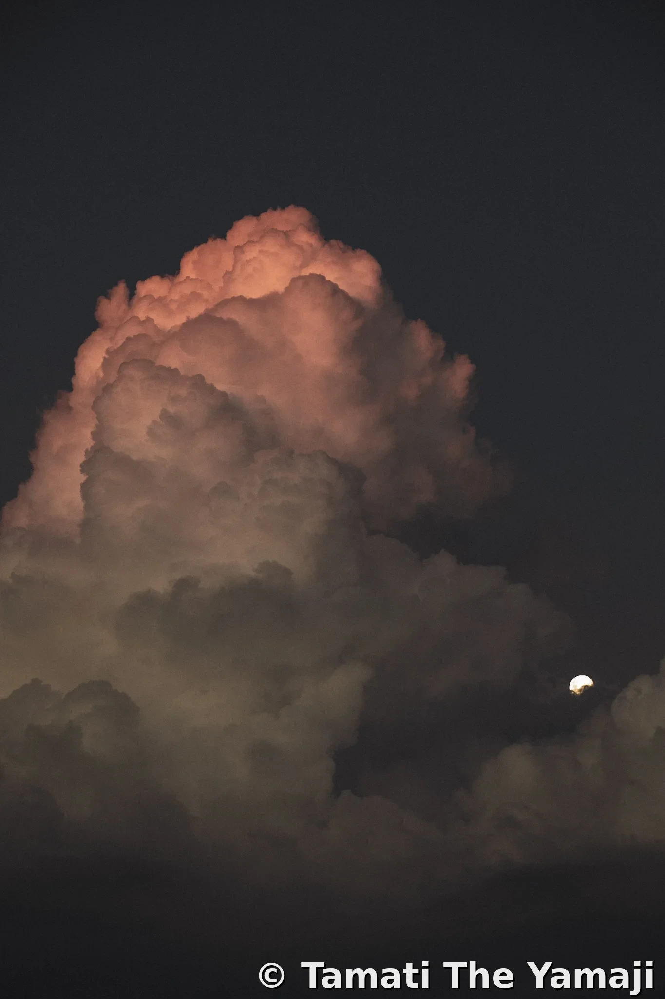 Mullewa Backroads Discovery - Image 6