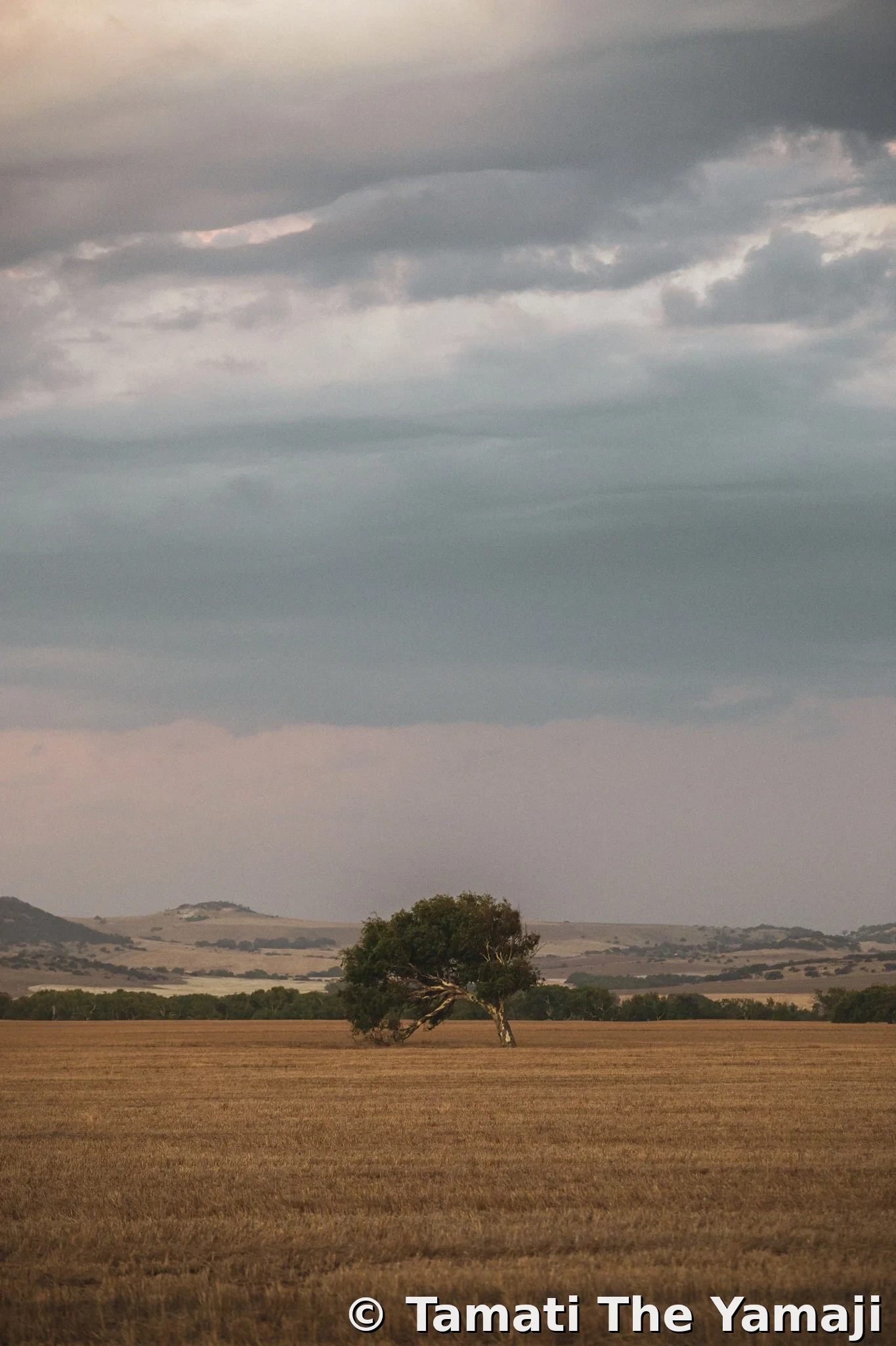 Mullewa Backroads Discovery - Image 7