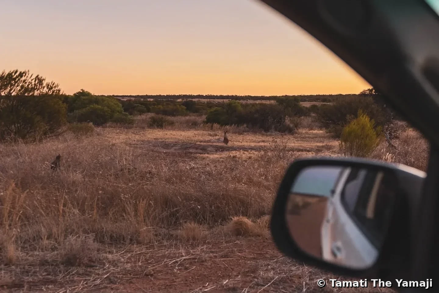 Hunting on Yamaji Barna - Image 5