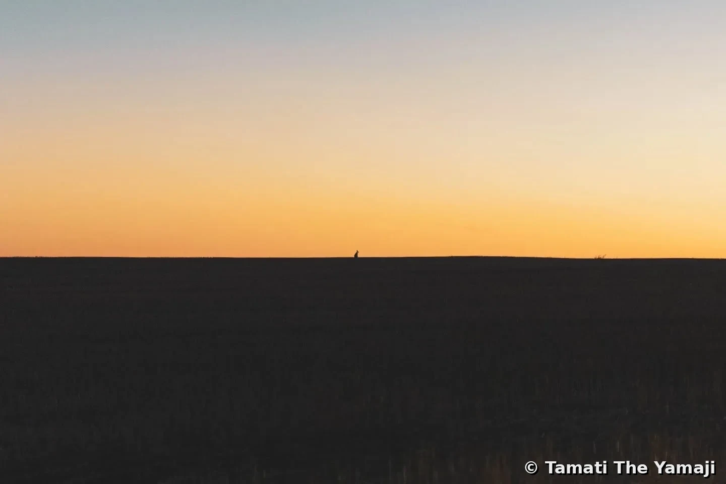 Hunting on Yamaji Barna - Image 6