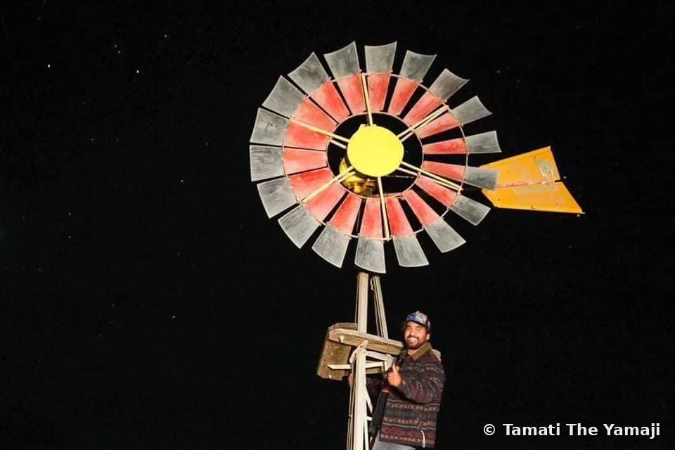 Self Portraits - Image 1