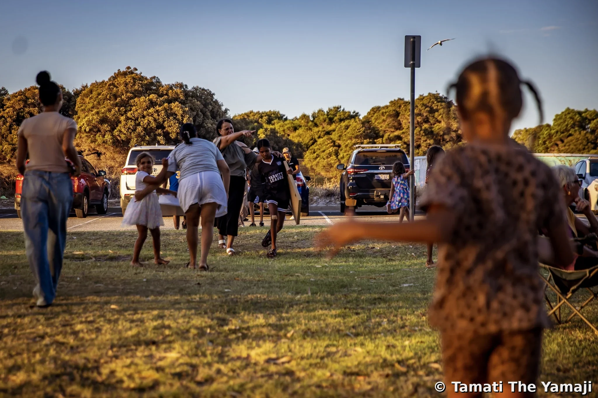 Dale Wallam Memorial, Jambinu - Image 7