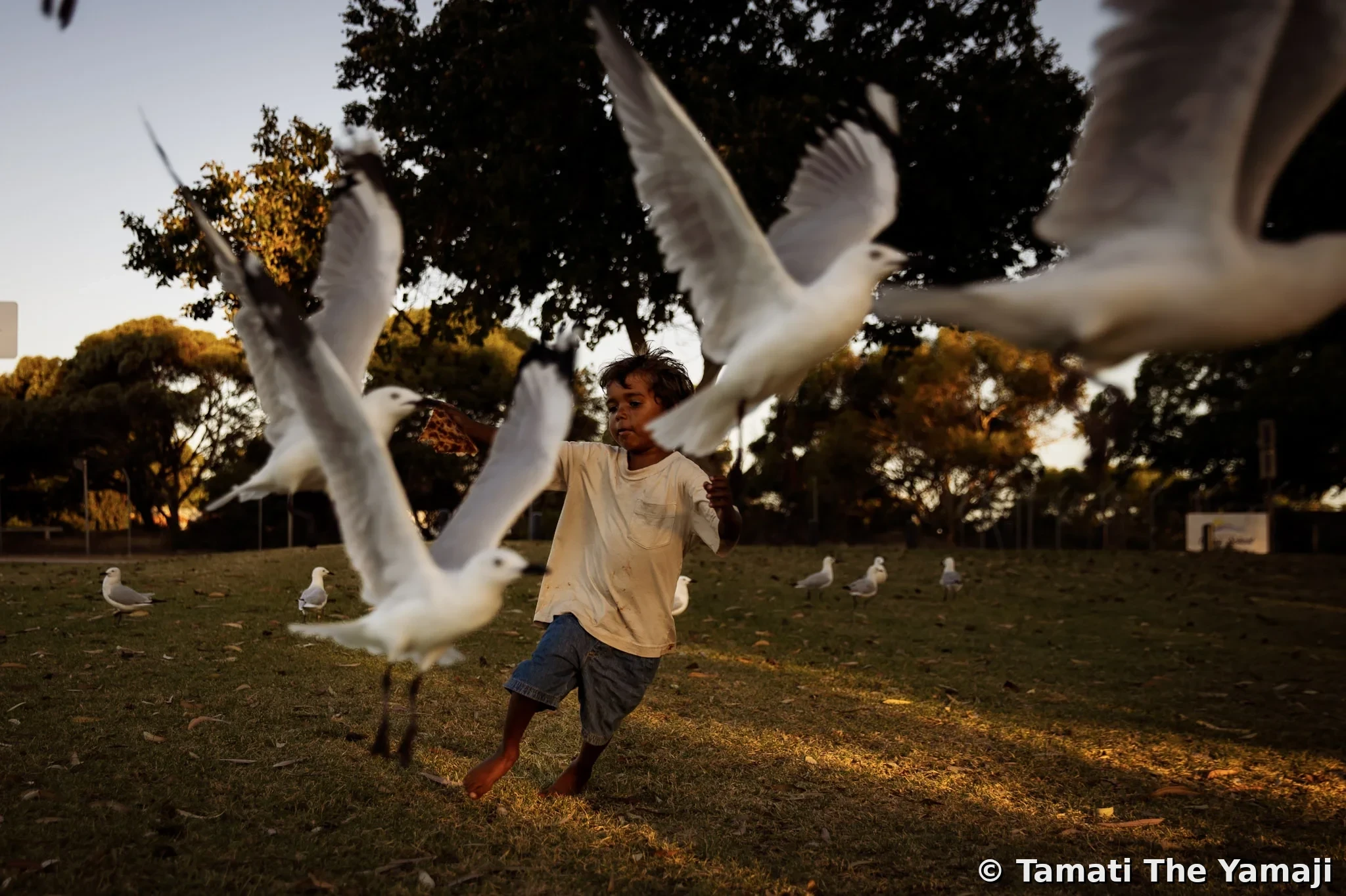 Dale Wallam Memorial, Jambinu - Image 9