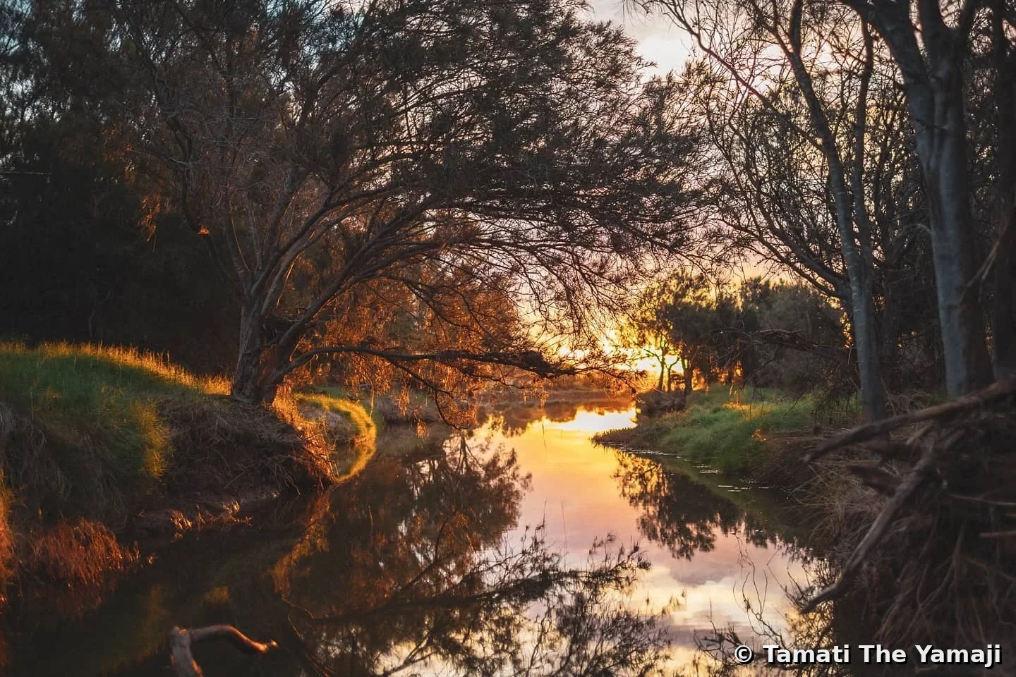 Singular. Alone. Itself — Massacre Site - Image 1