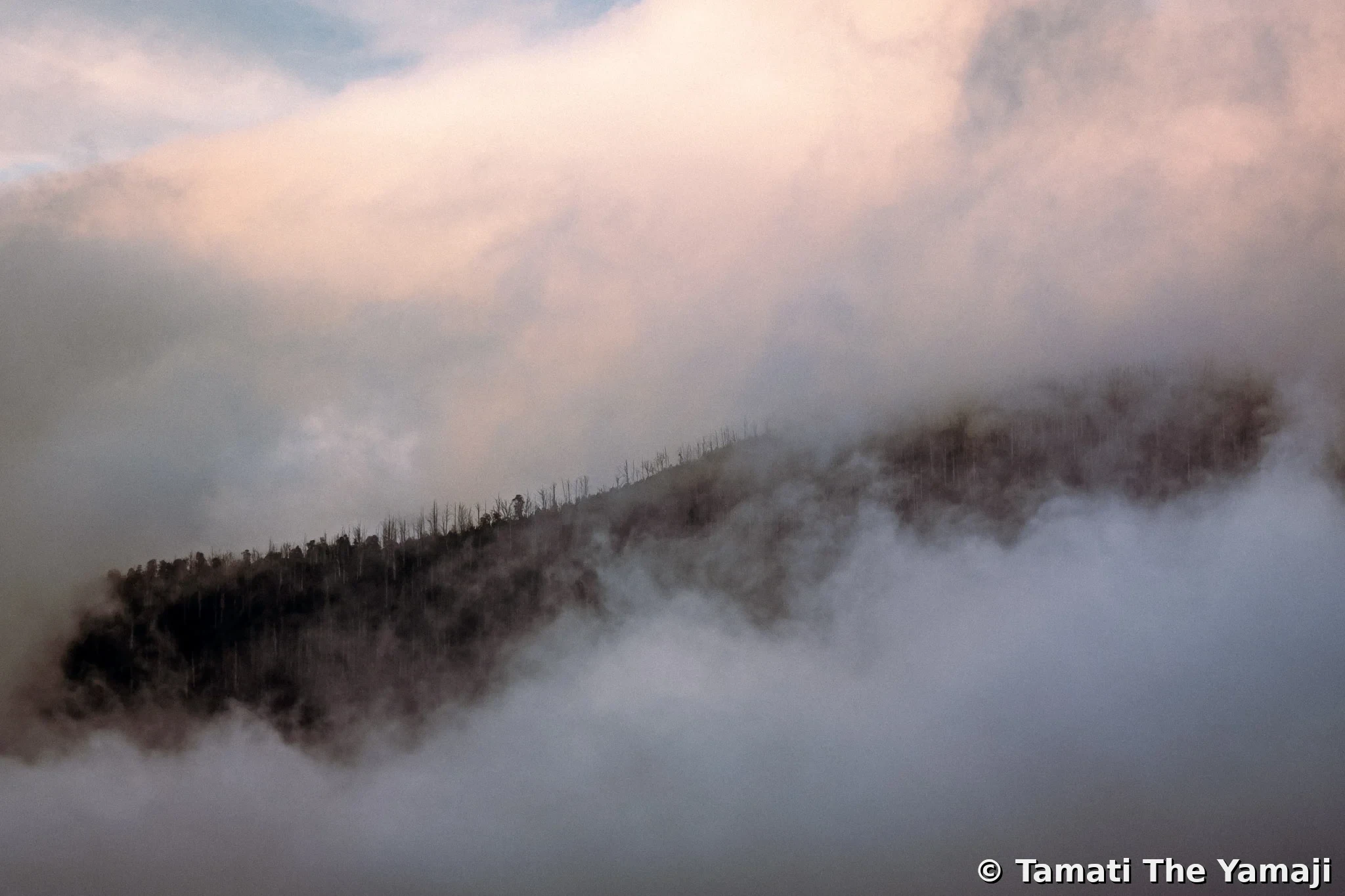 Birrarung Valley Drive - Image 1