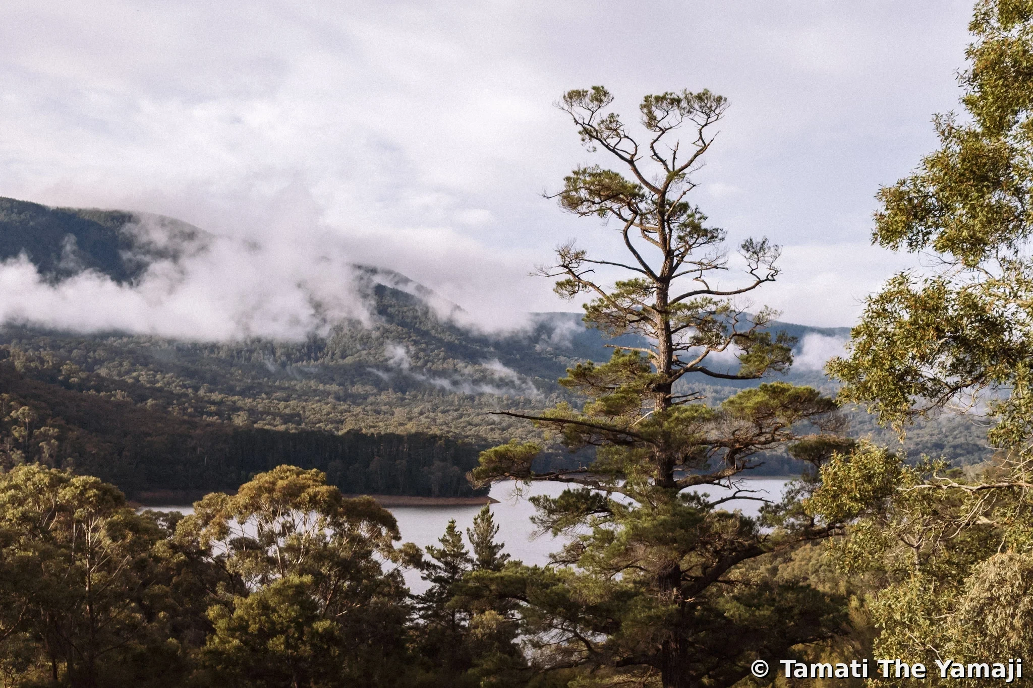 Birrarung Valley Drive - Image 2