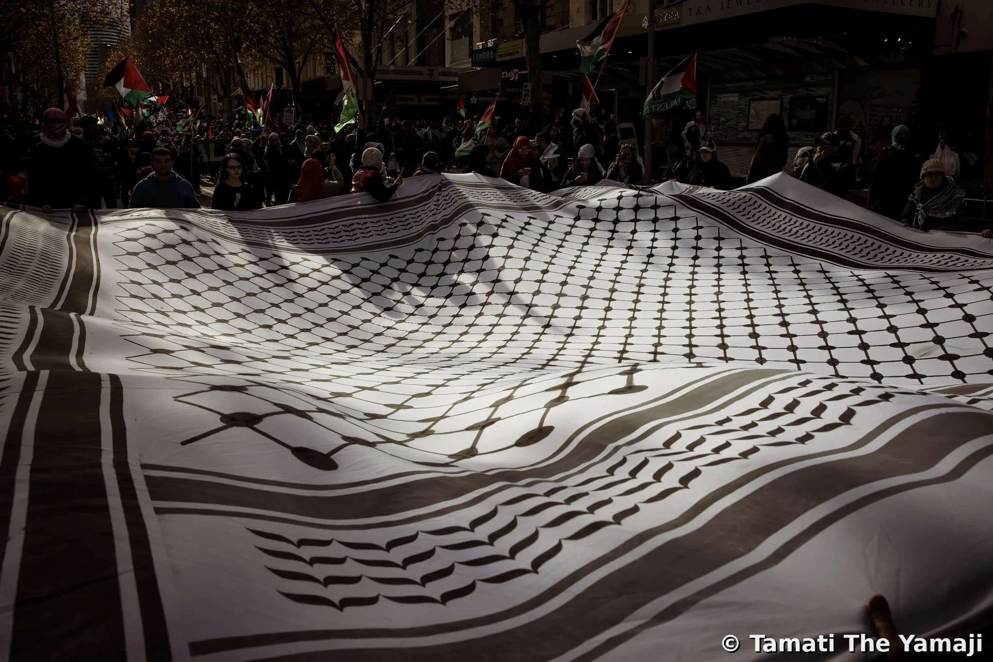 All Eyes on Rafah, Naarm - Image 8
