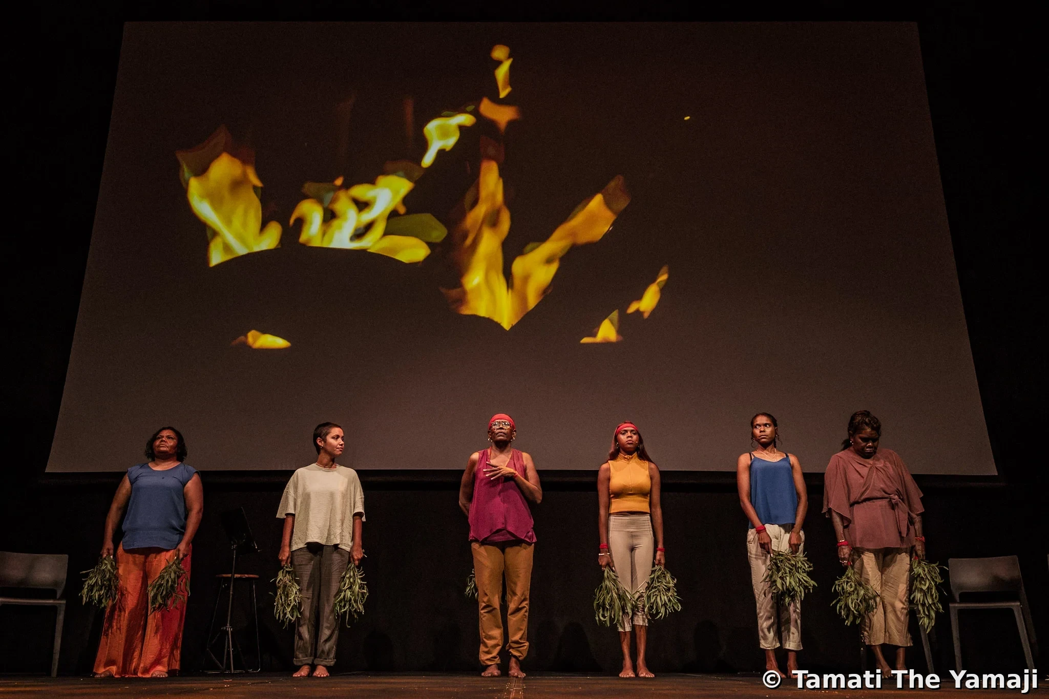 Wiyi Yani U Thangani, Canberra - Image 1