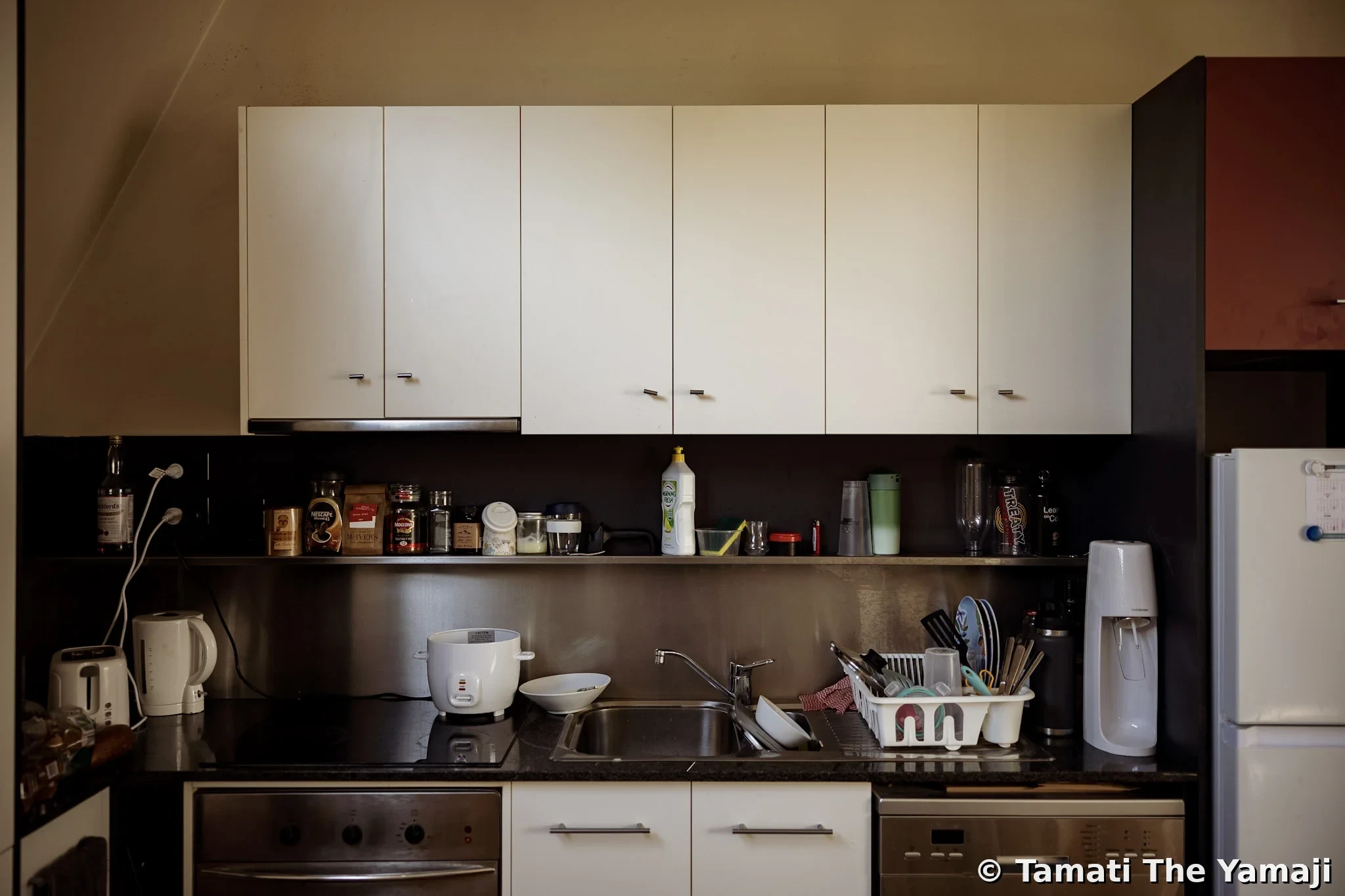 Environmental Portraits - Image 3