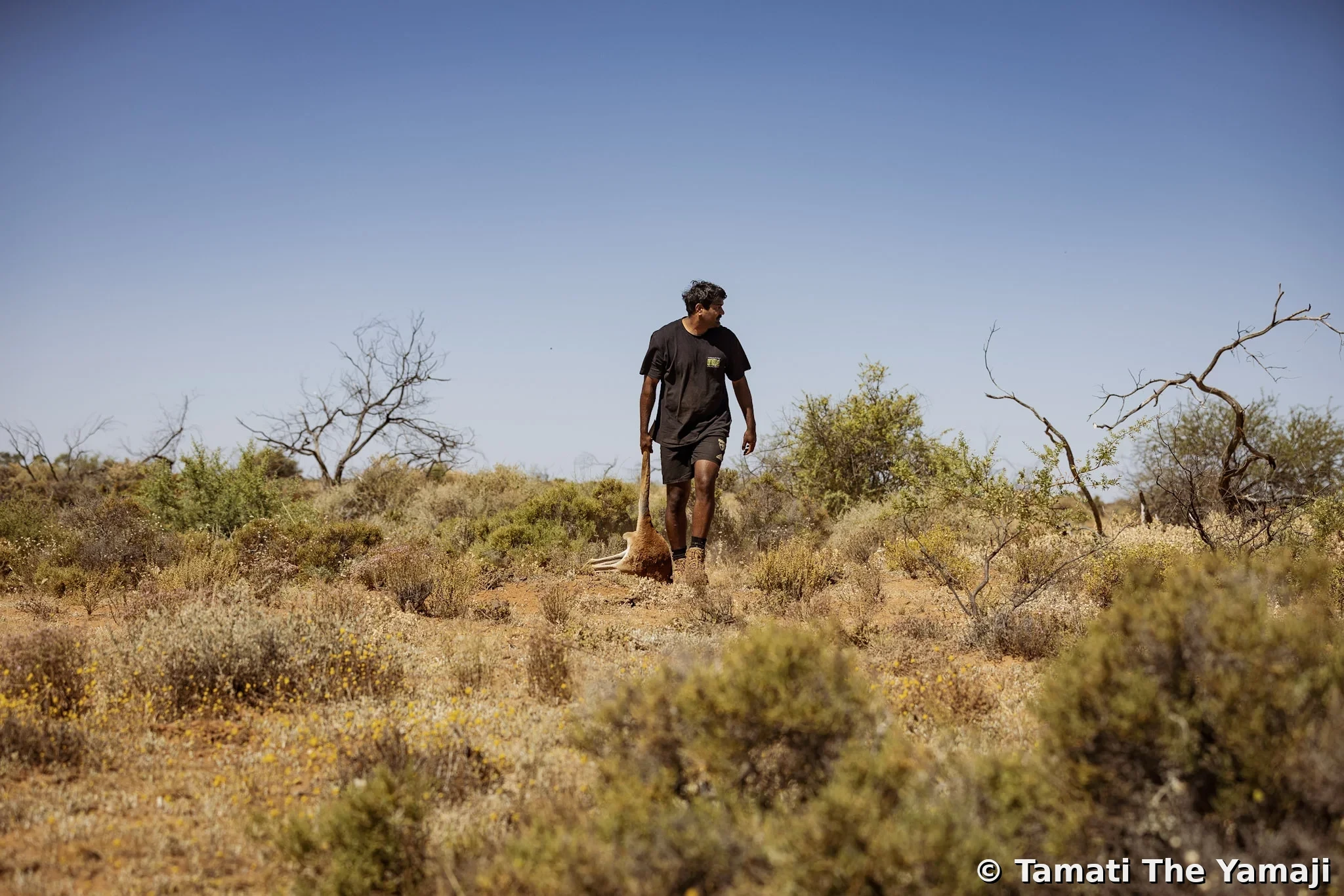 Hunting Marlu in the Murchison - Image 2