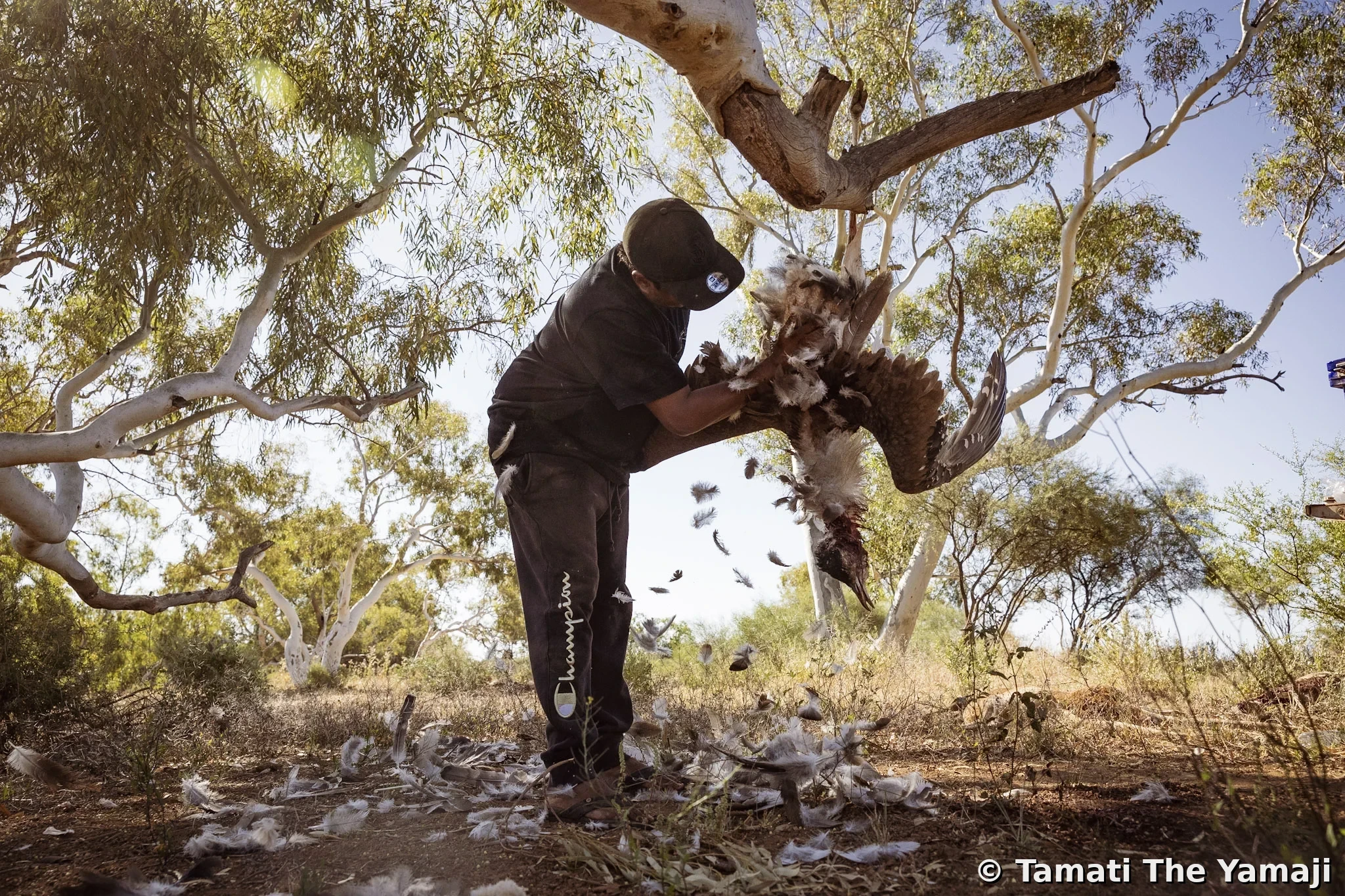 Hunting Marlu in the Murchison - Image 7