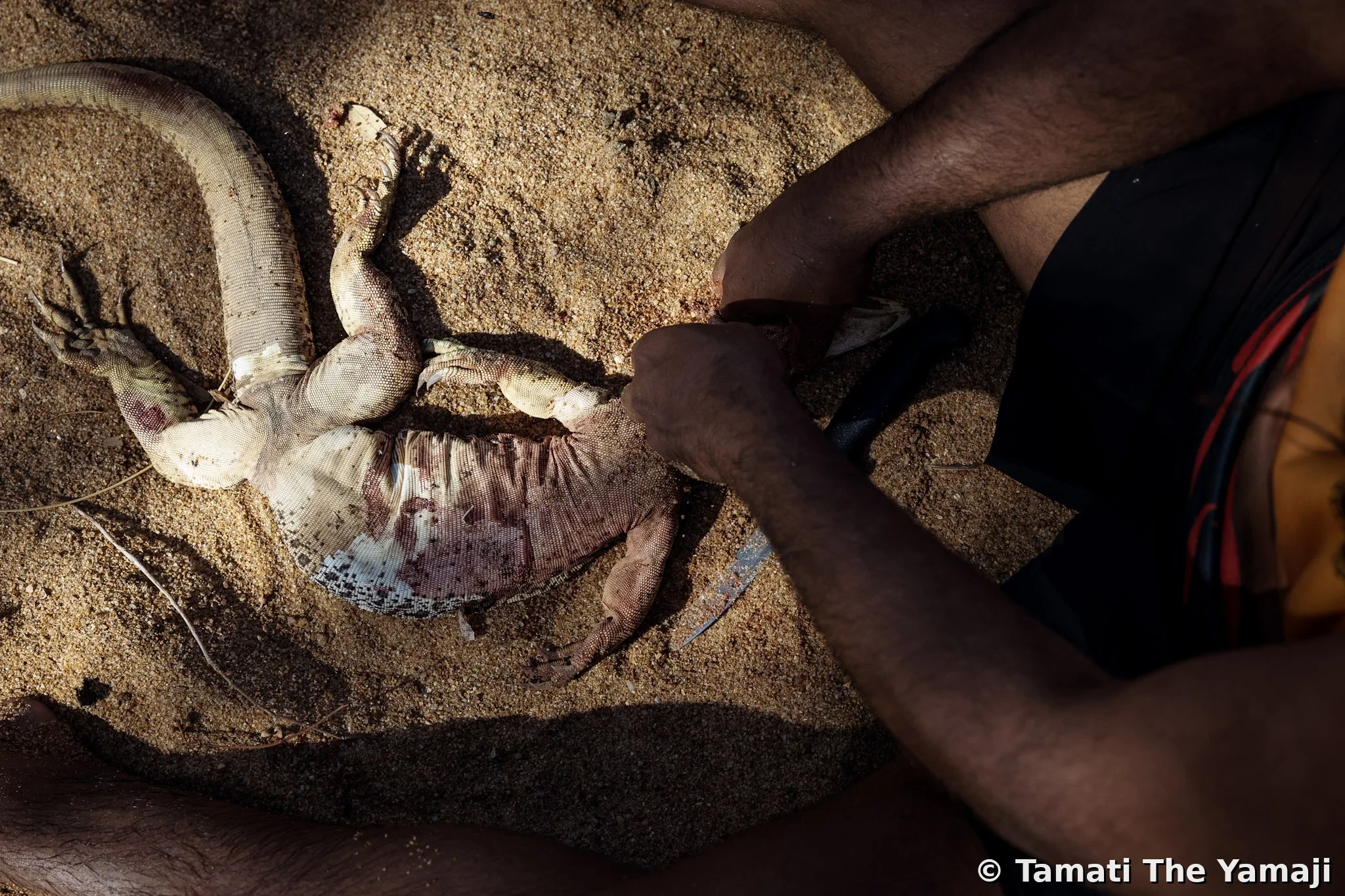 Hunting Marlu in the Murchison - Image 8