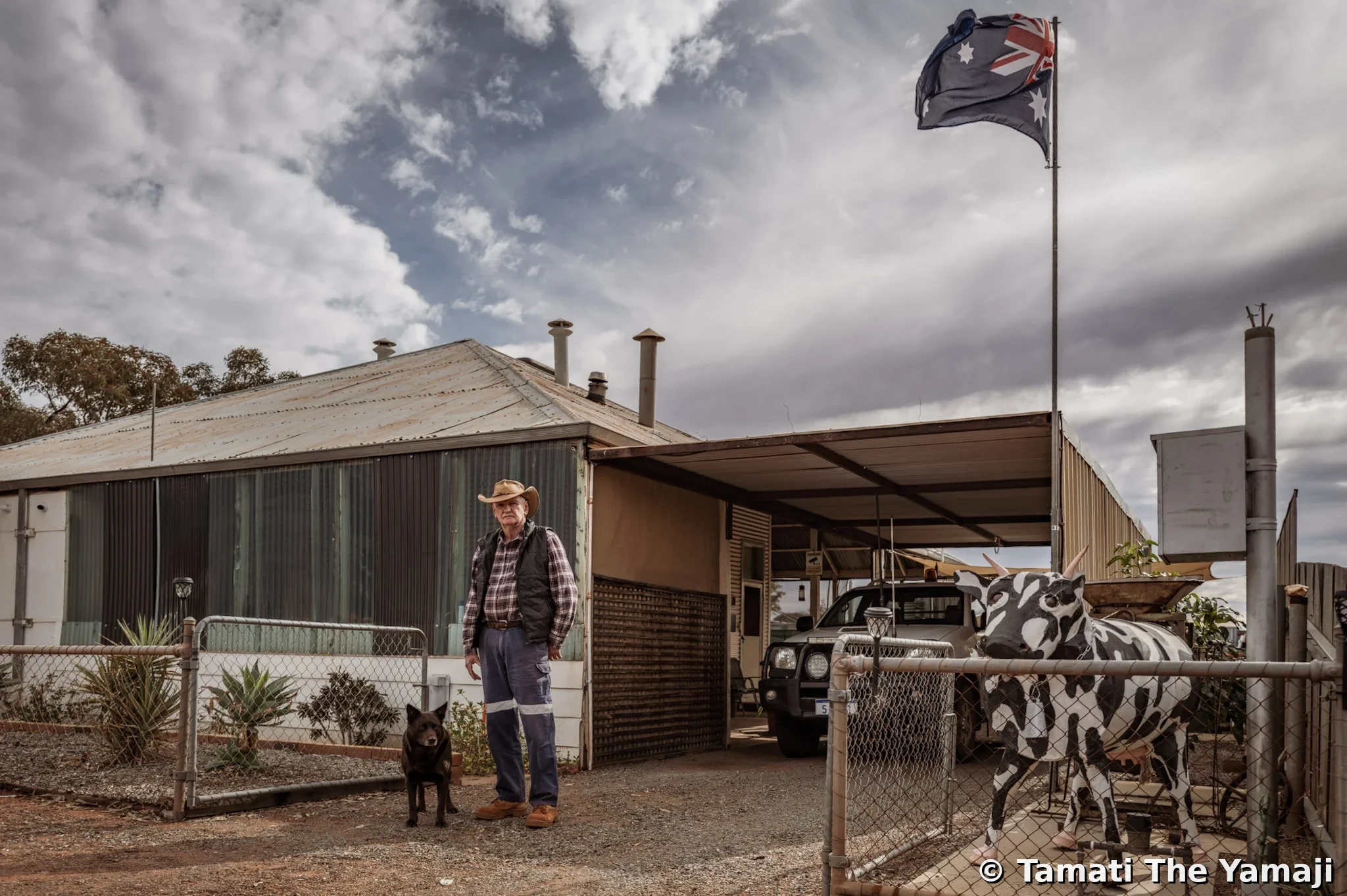 The Australian - Gold Rush, Sandstone - Image 5