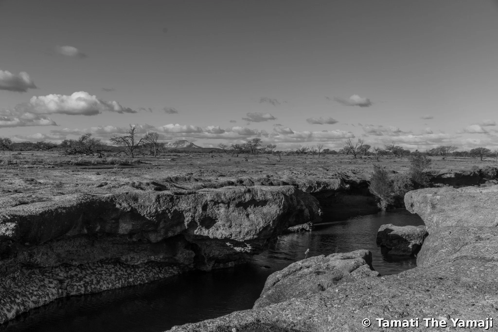 Thalirrang, Wajarri Country - Image 3