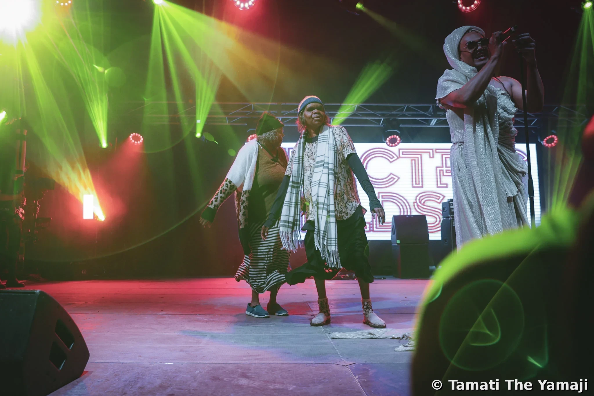 Electric Fields Live - Image 2