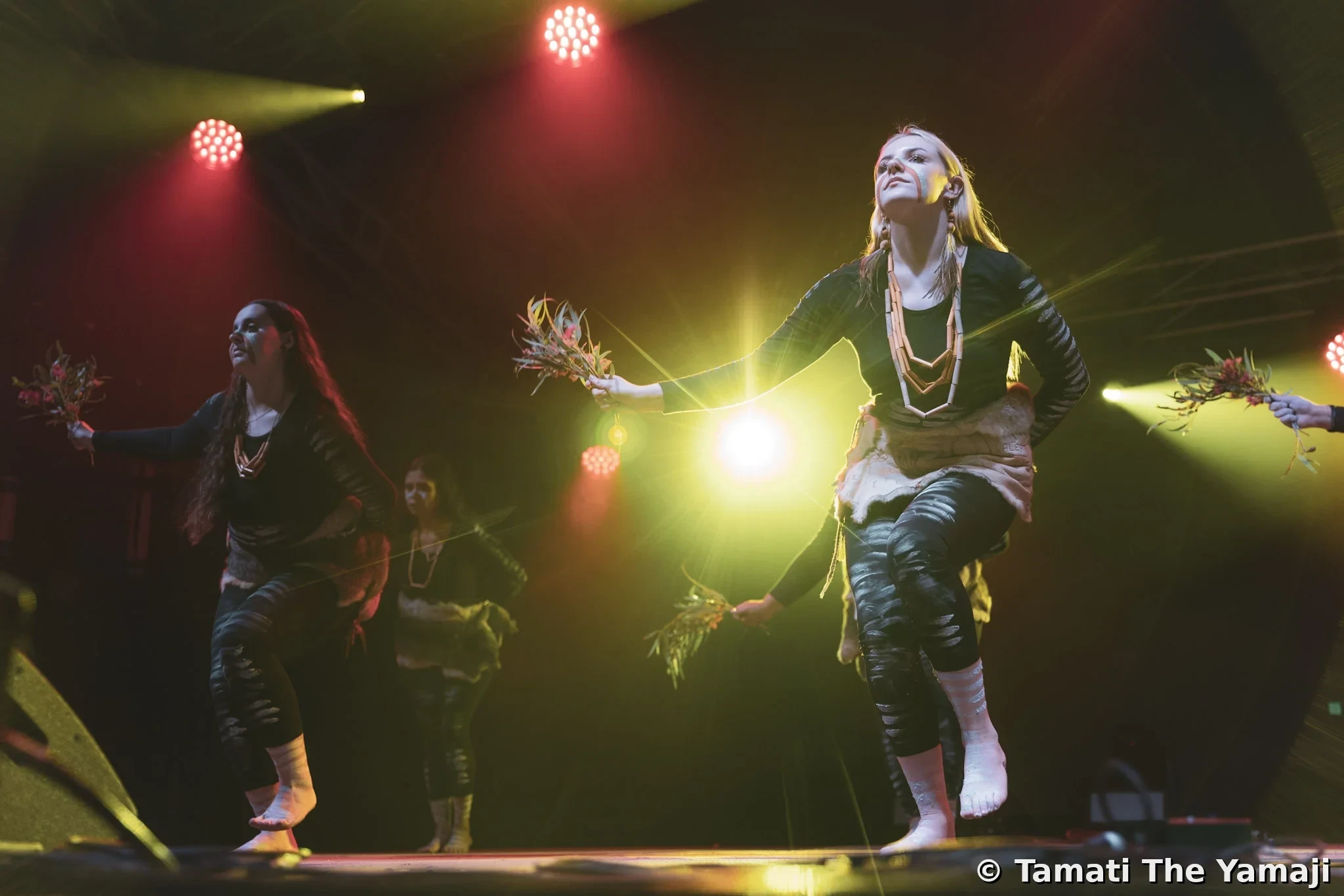 Electric Fields Live - Image 3