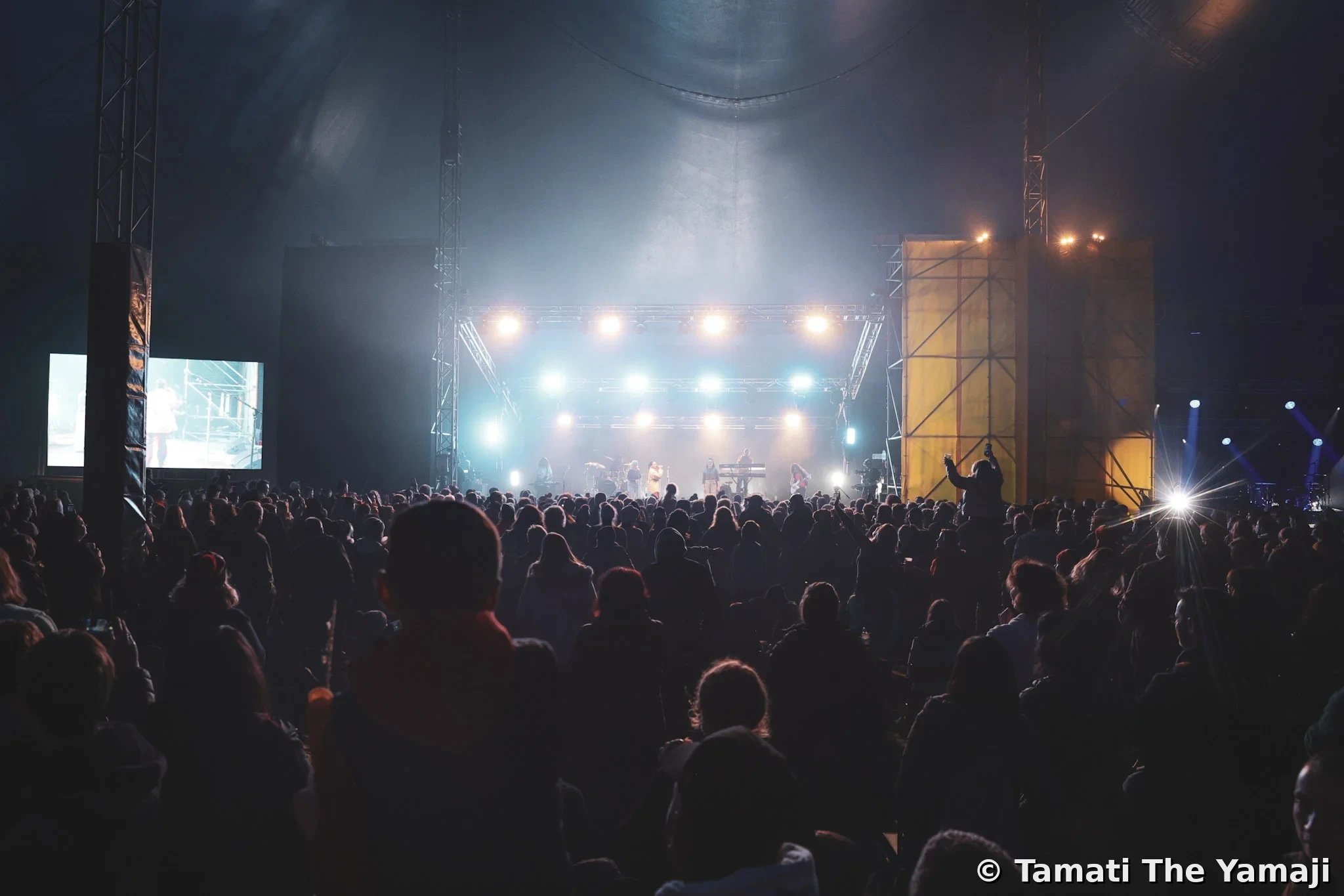 Electric Fields Live - Image 4