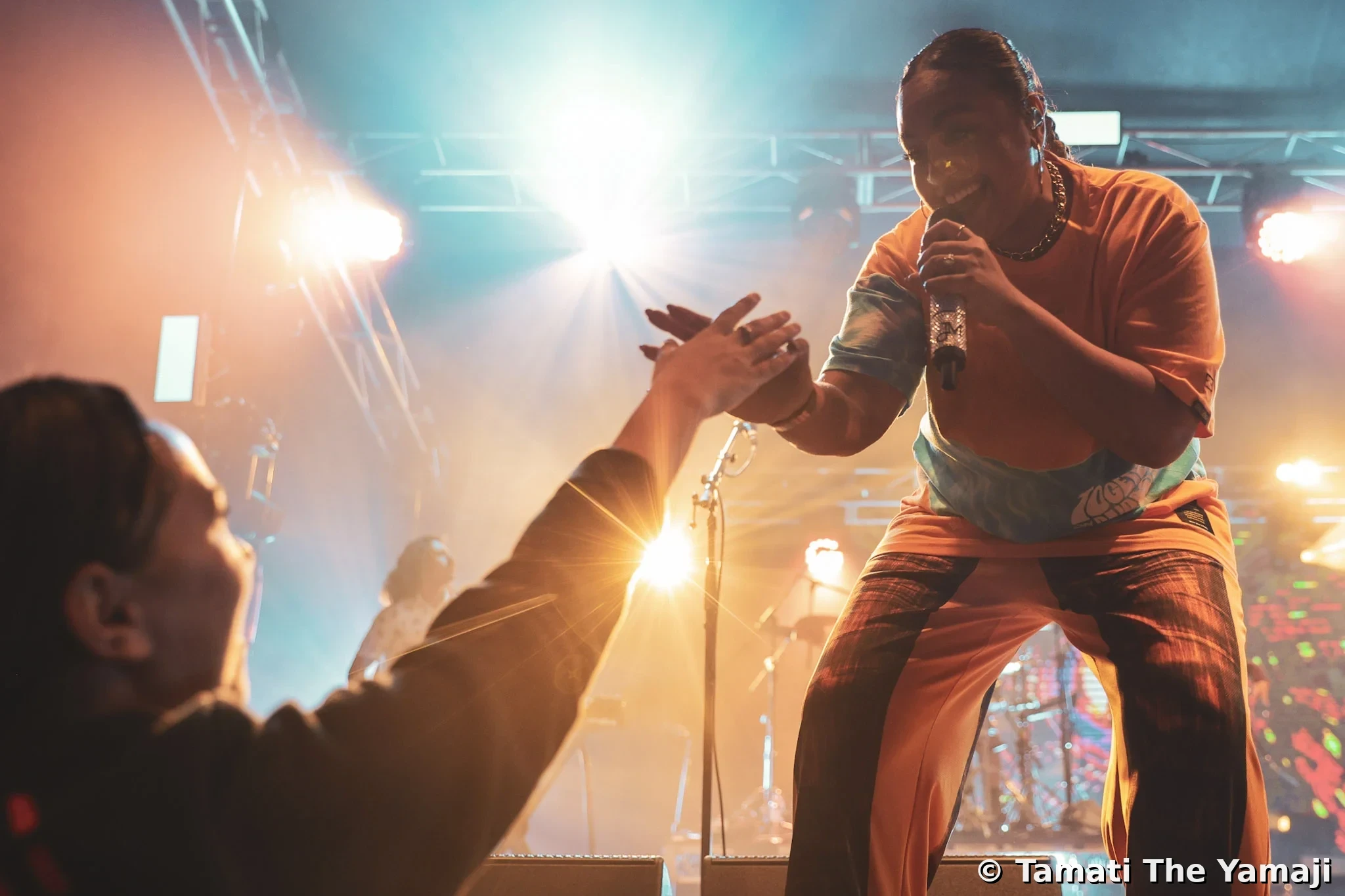 Electric Fields Live - Image 6