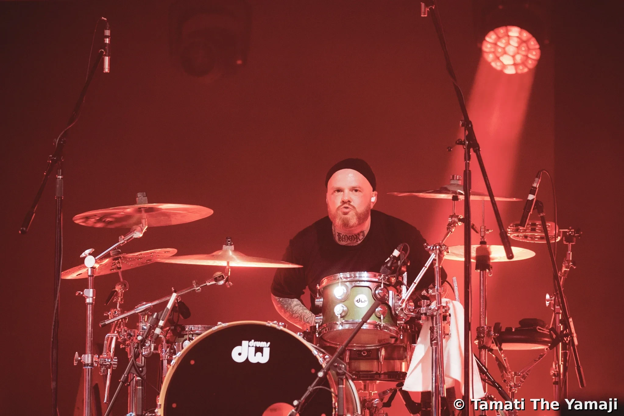 Electric Fields Live - Image 8