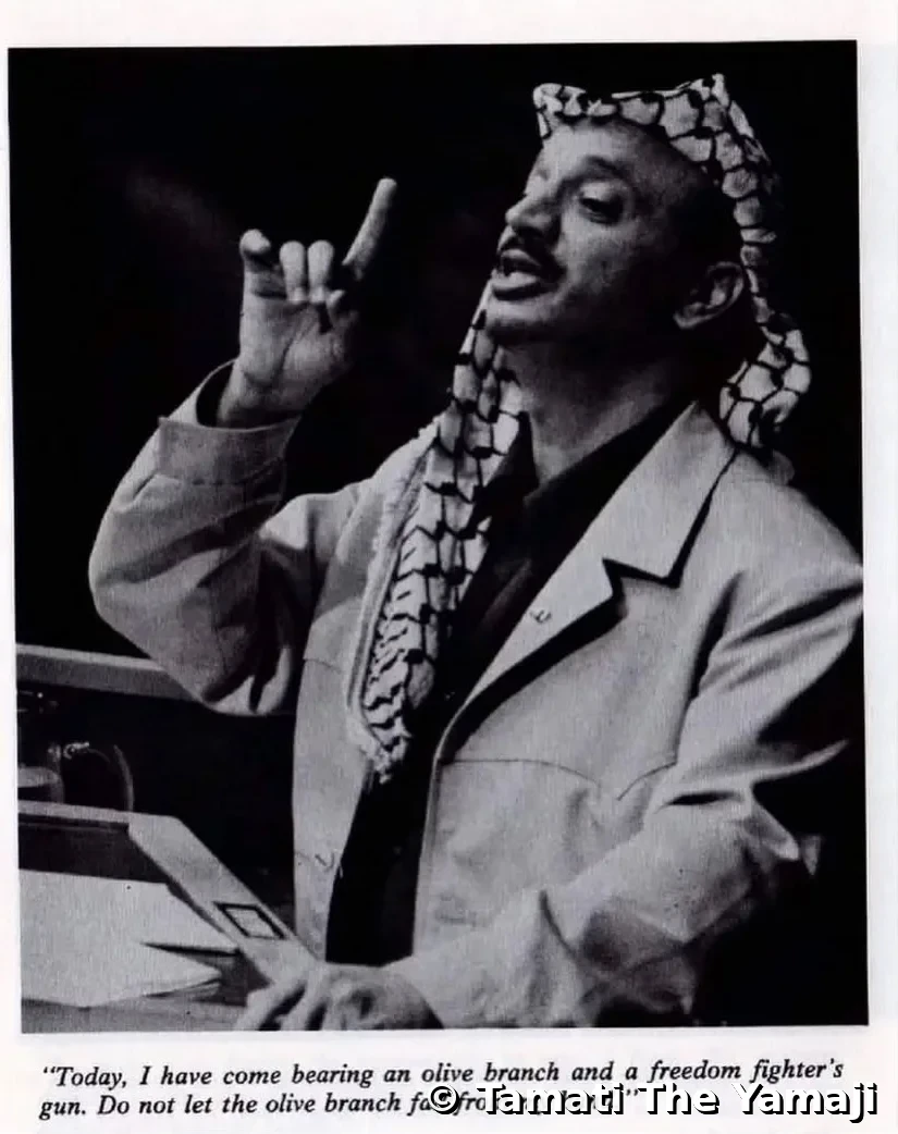 Aseel Tayah - Kuffiyah Portrait, Naarm - Image 3