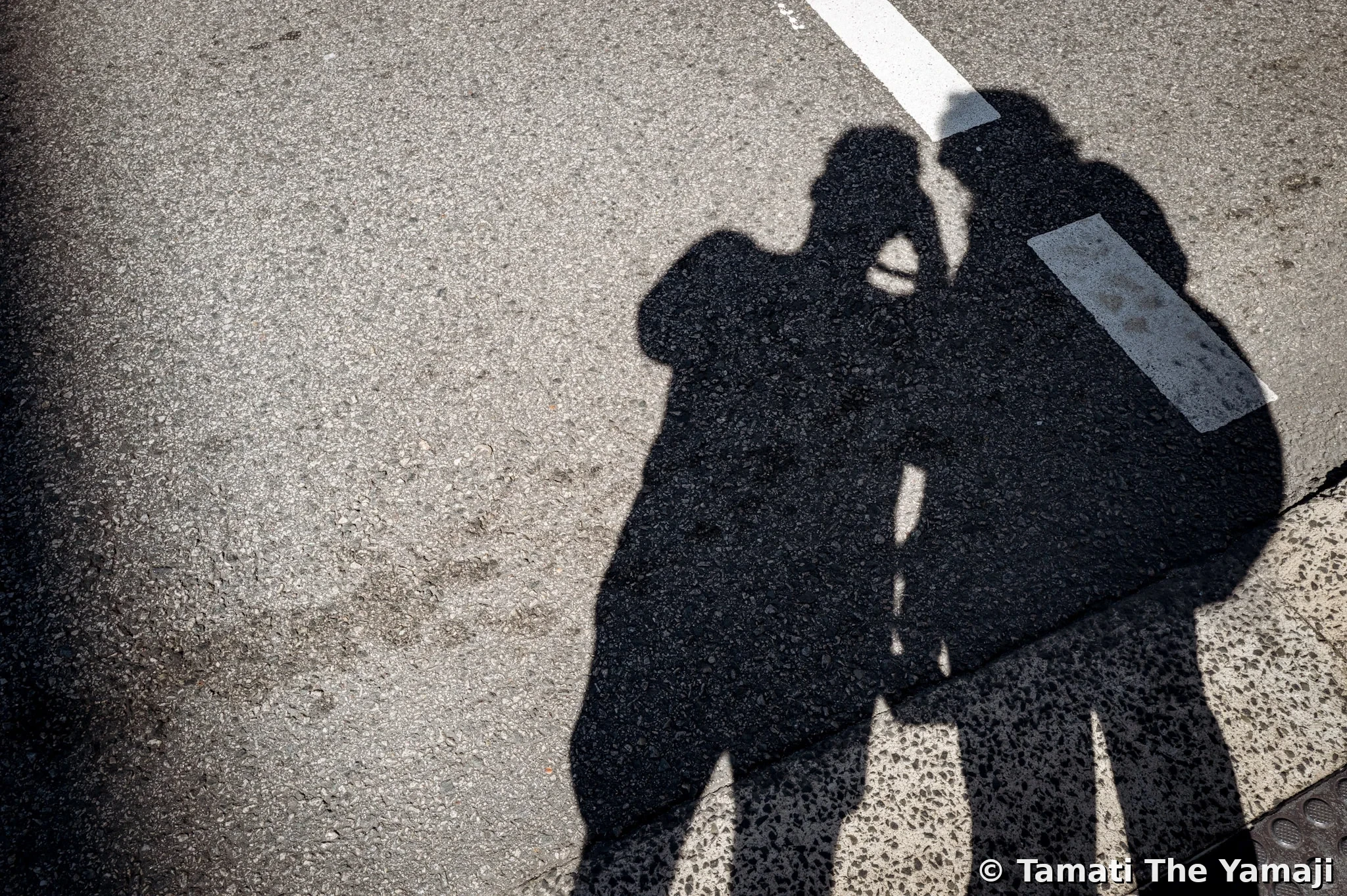 Counter-Protest, Boorloo - Image 11