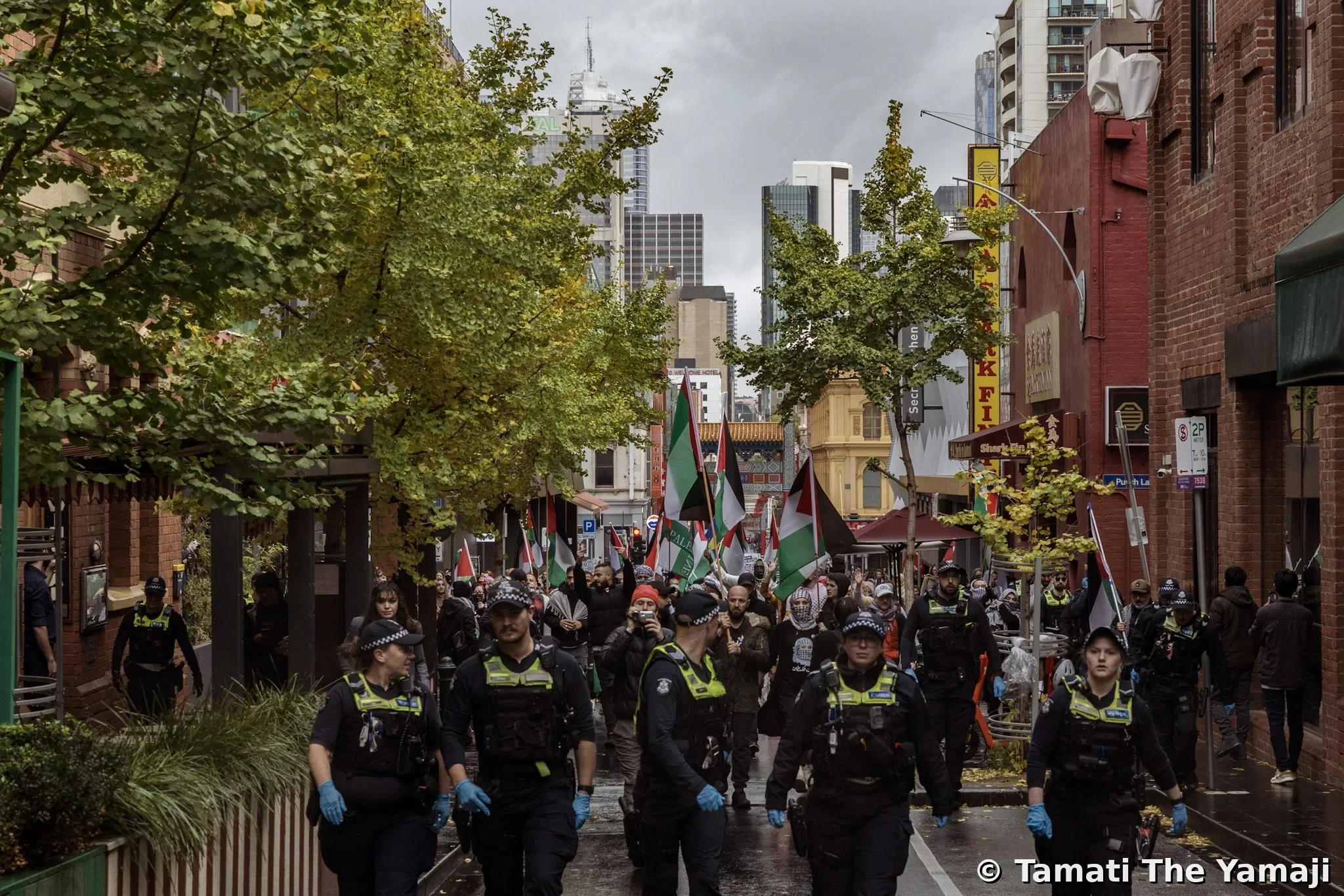 Naarm Palestinian Rally at Parliament - Image 8
