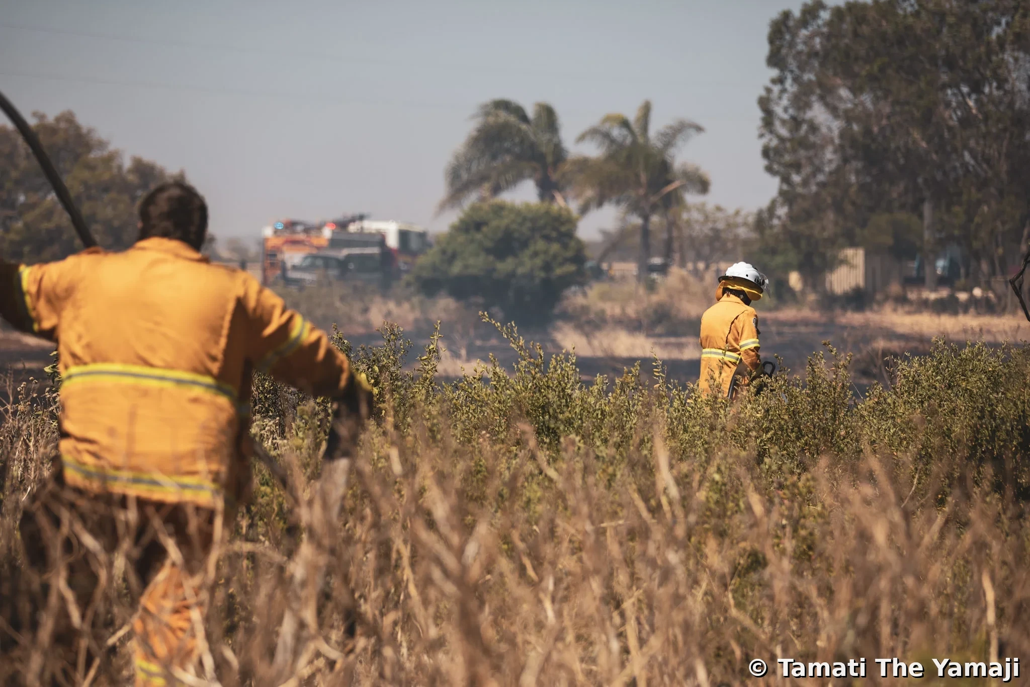 Moonyoonooka Bush Fire - Image 3