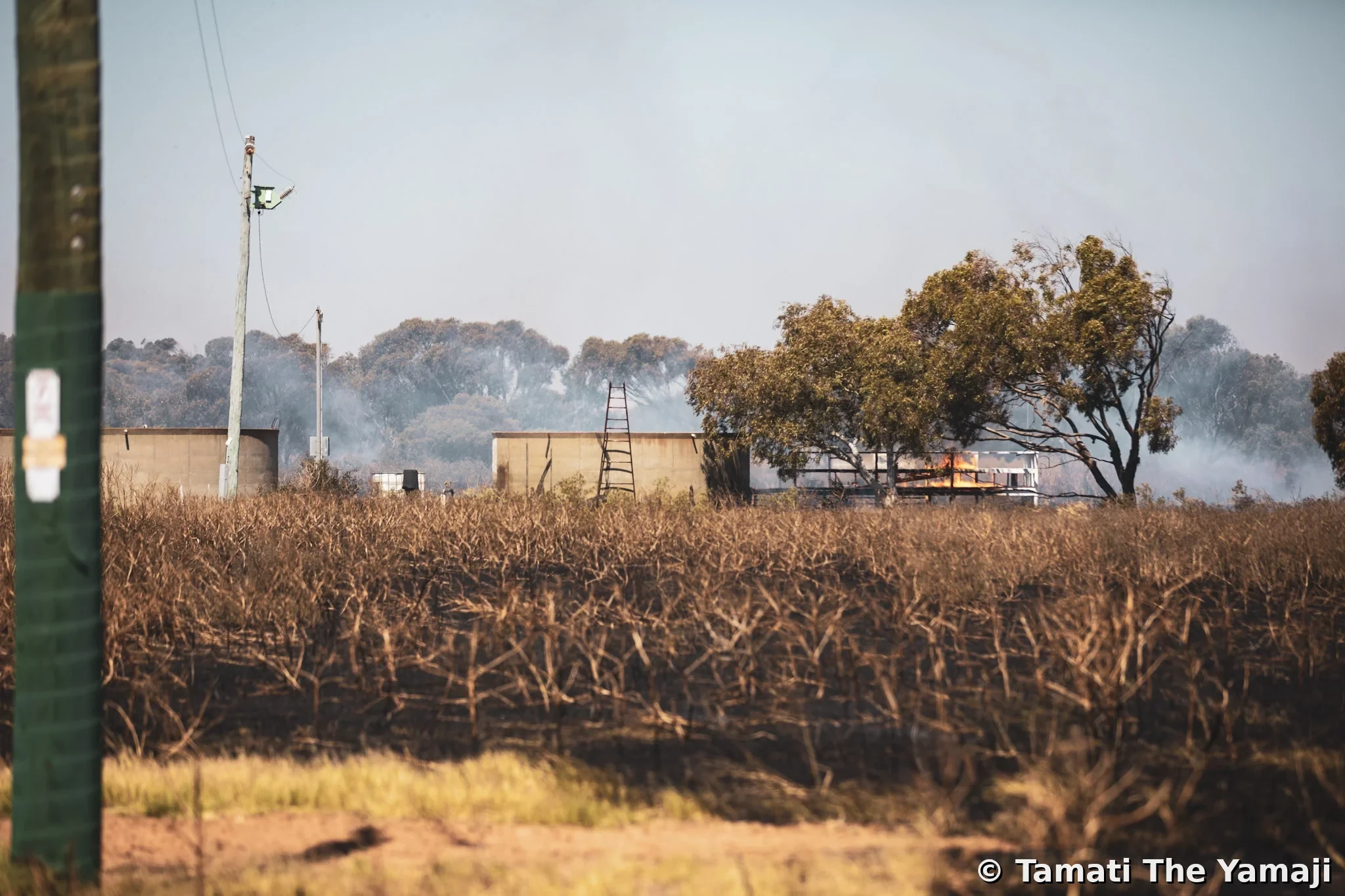Moonyoonooka Bush Fire - Image 6