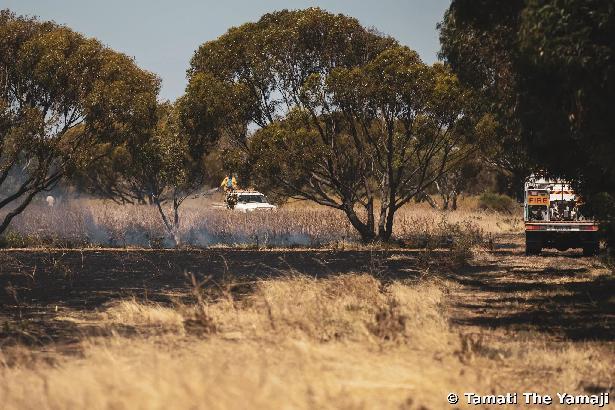 Moonyoonooka Bush Fire - Image 7