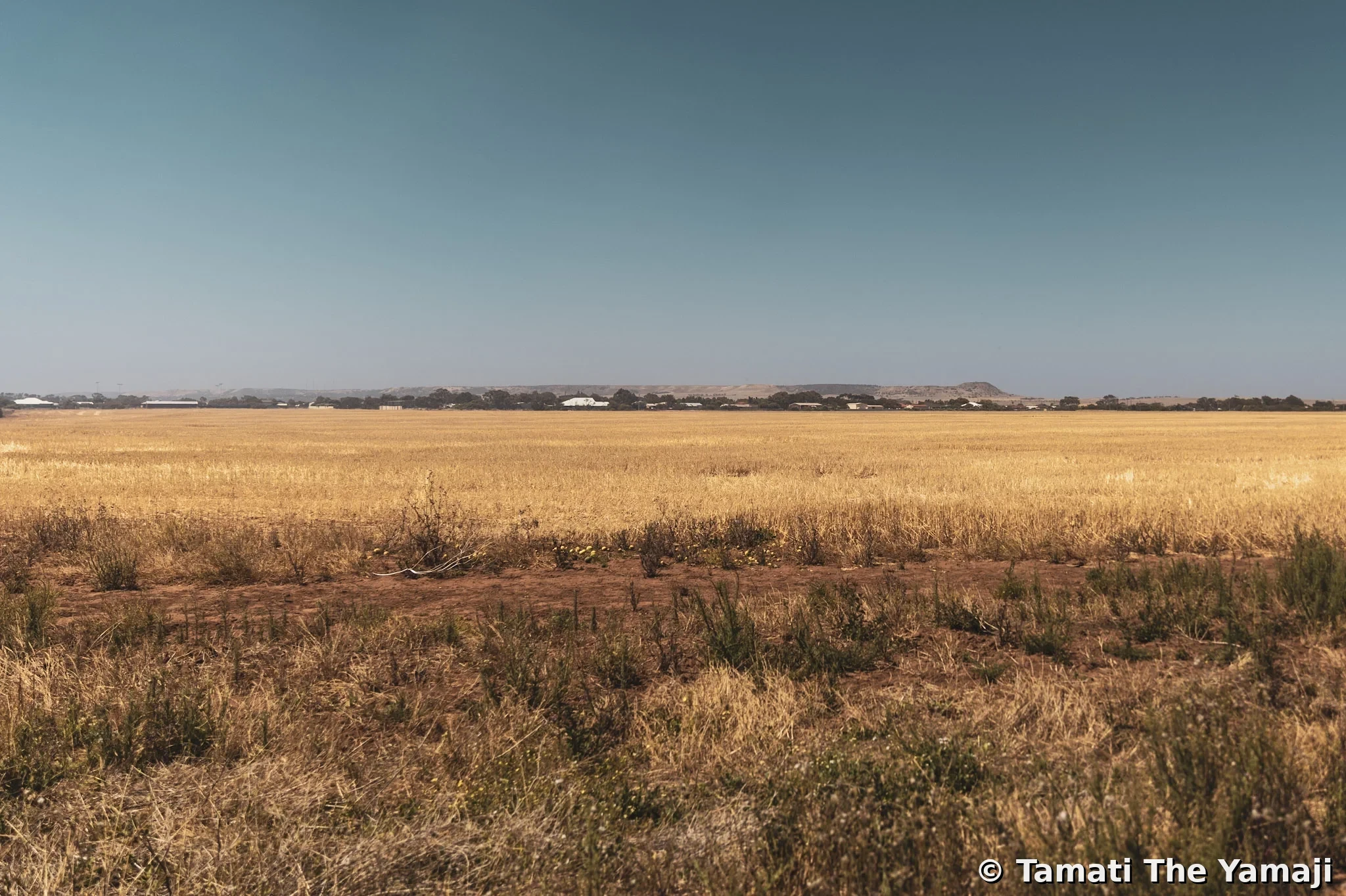 Moonyoonooka Bush Fire - Image 10
