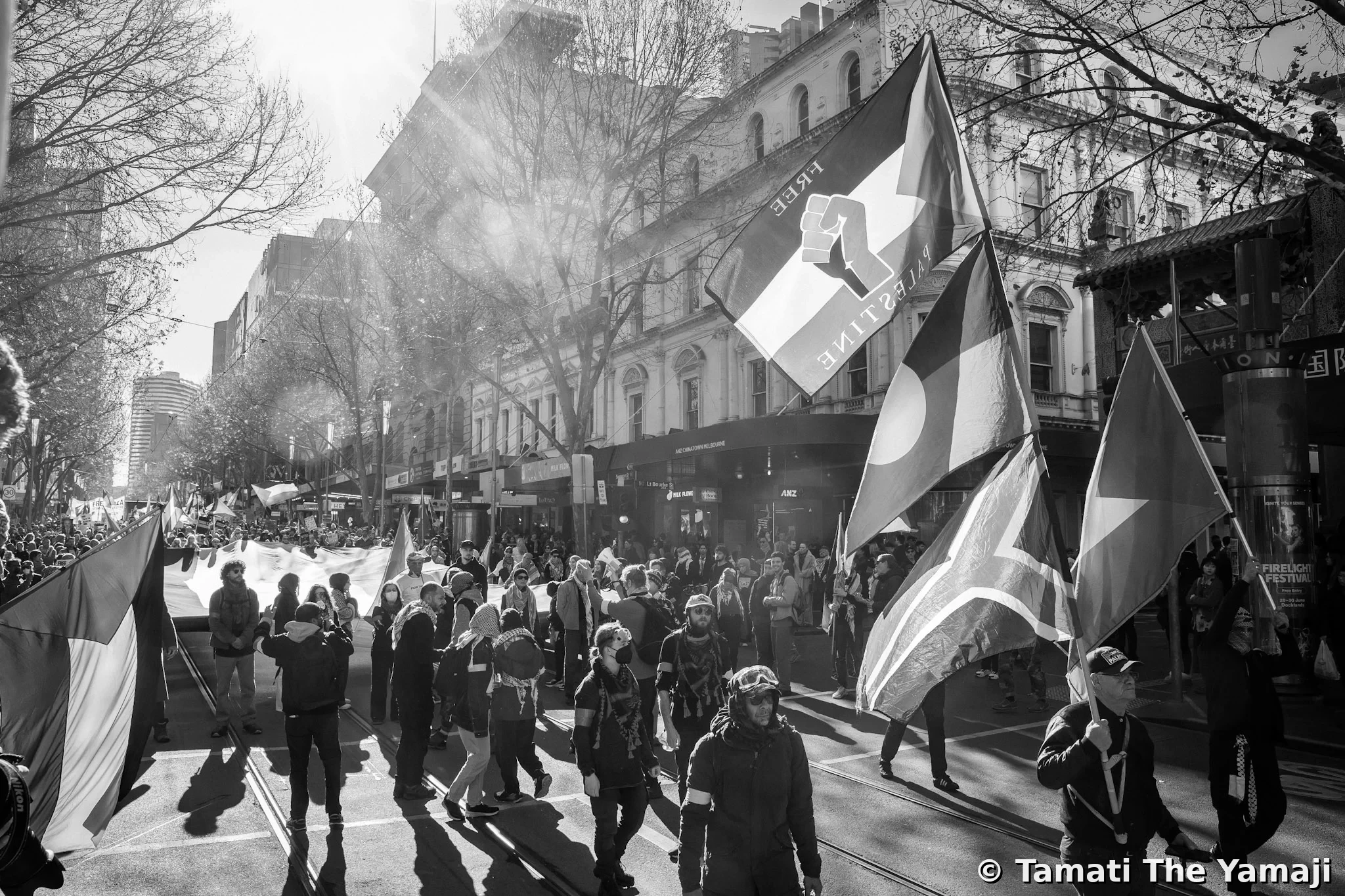 Palestine Solidarity Rally, Naarm - Image 7