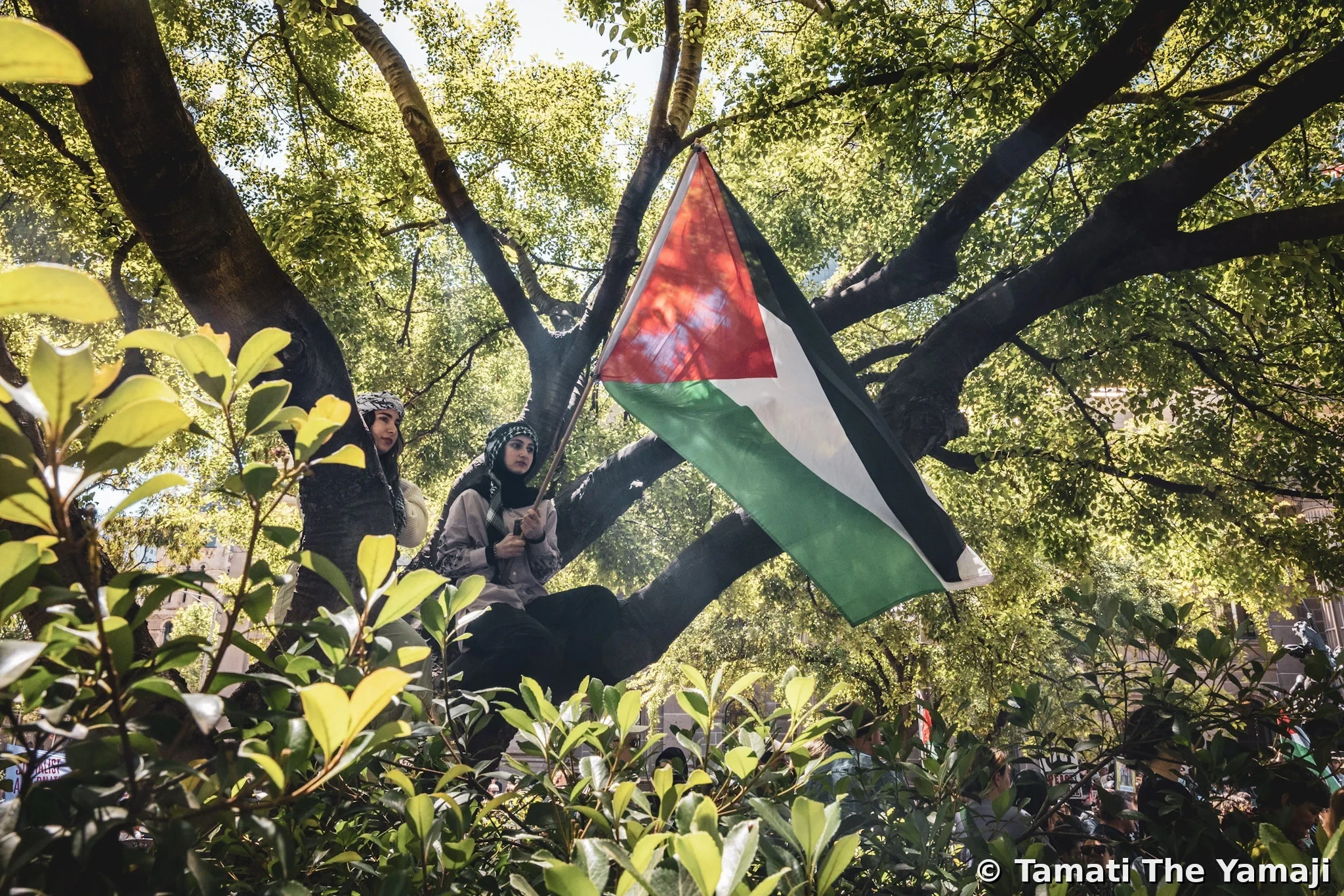 Ceasefire Protests Week 5 - Naarm - Image 1